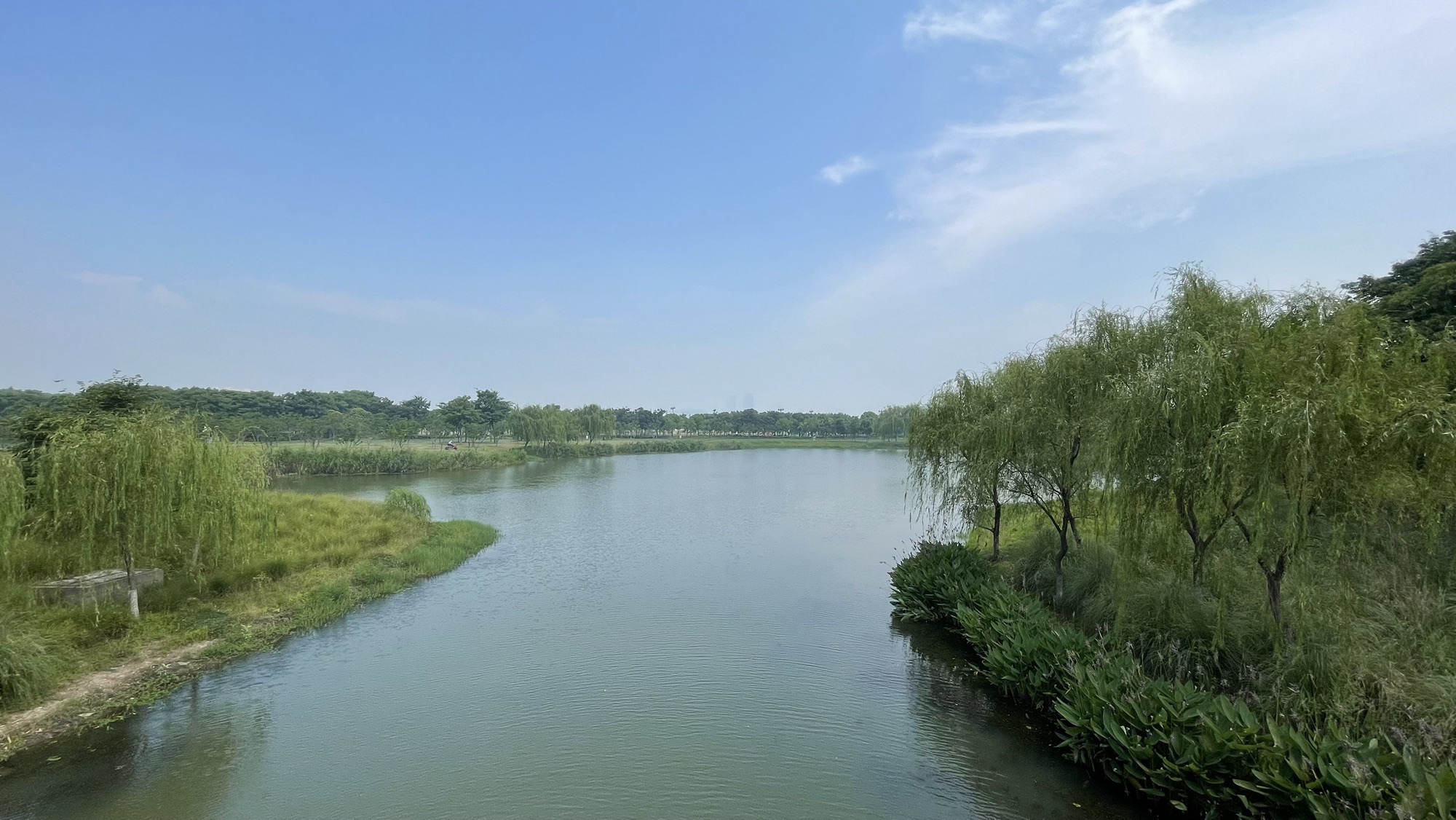 贡湖湾湿地公园旅行图片 2