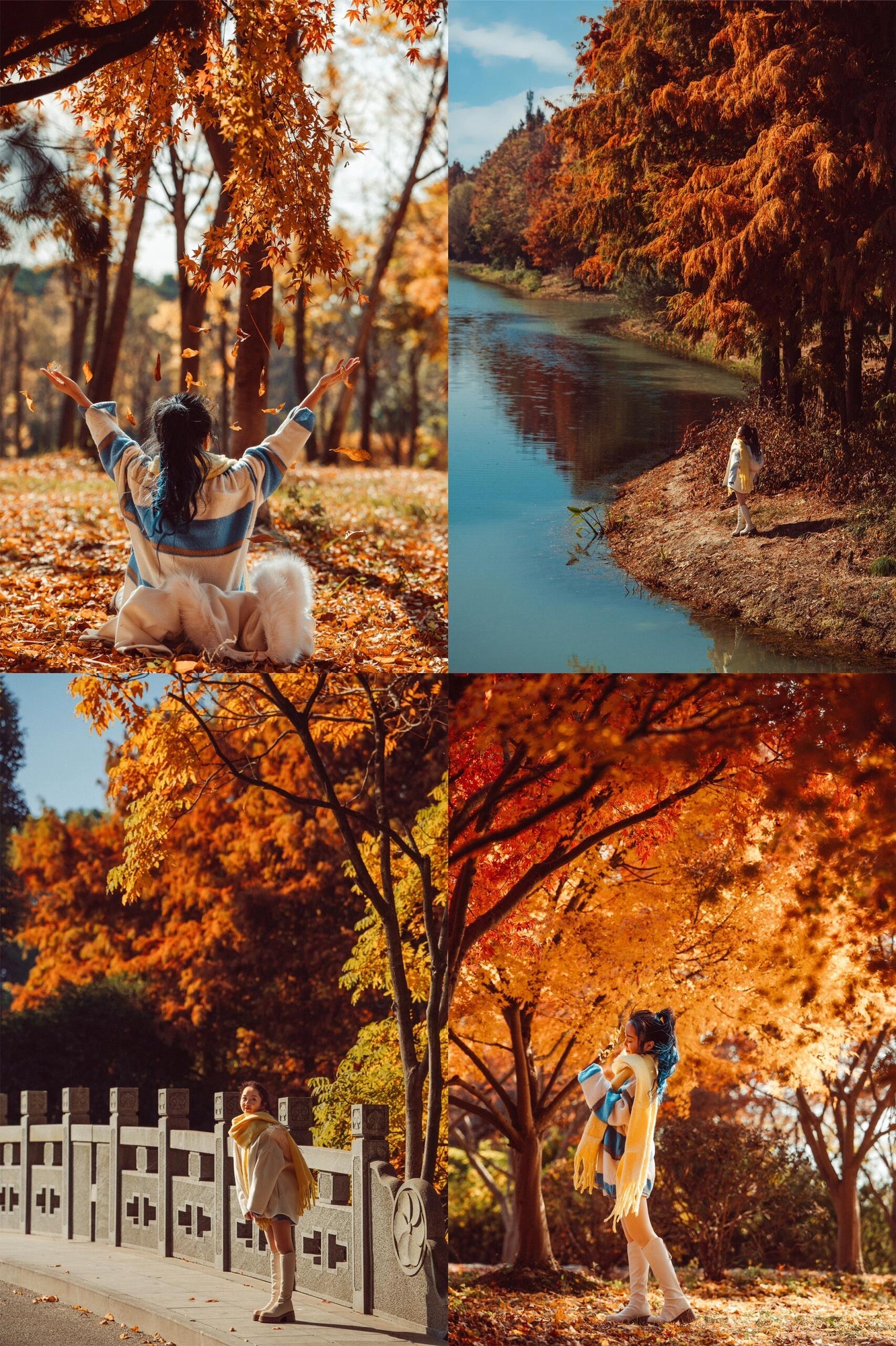 贡湖湾湿地公园旅行图片 3