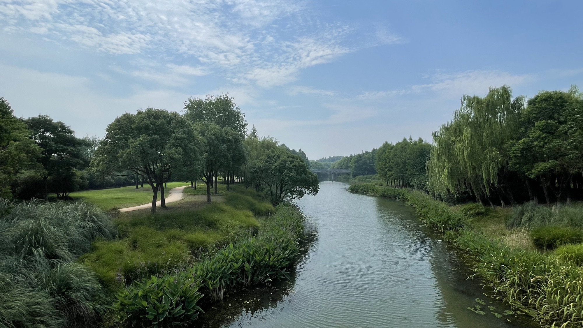 贡湖湾湿地公园旅行图片 3