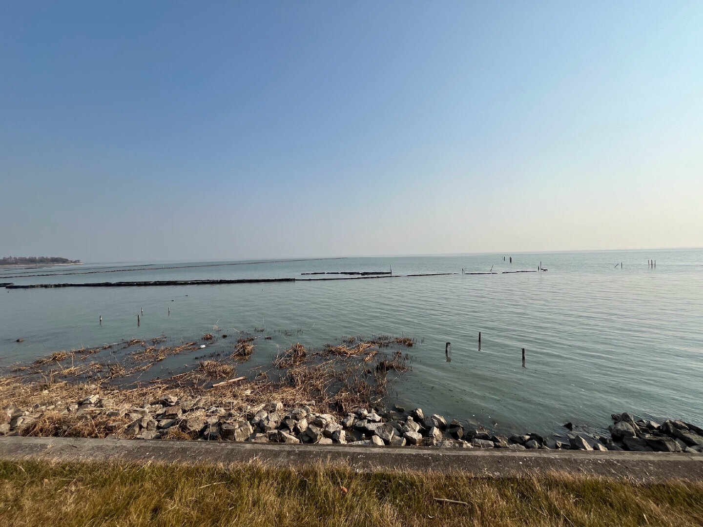 贡湖湾湿地公园旅行图片 1