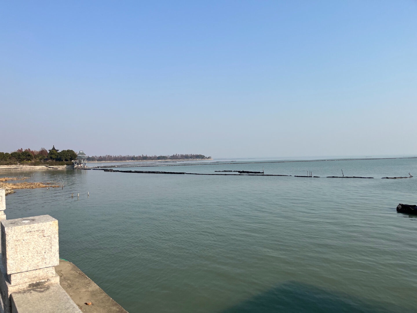 贡湖湾湿地公园旅行图片 2