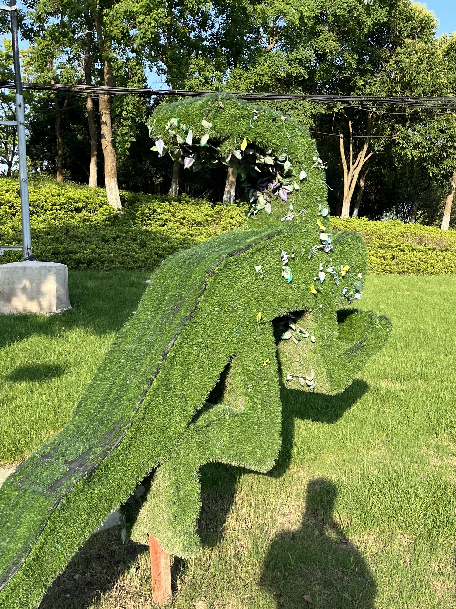 贡湖湾湿地公园旅行图片 1