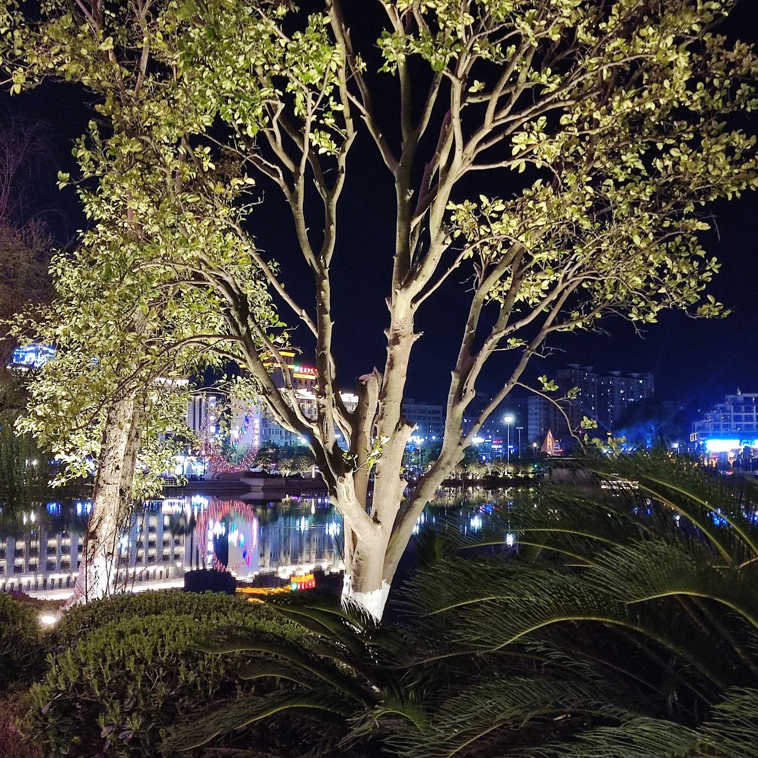 岭秀湖市民公园旅行图片 3