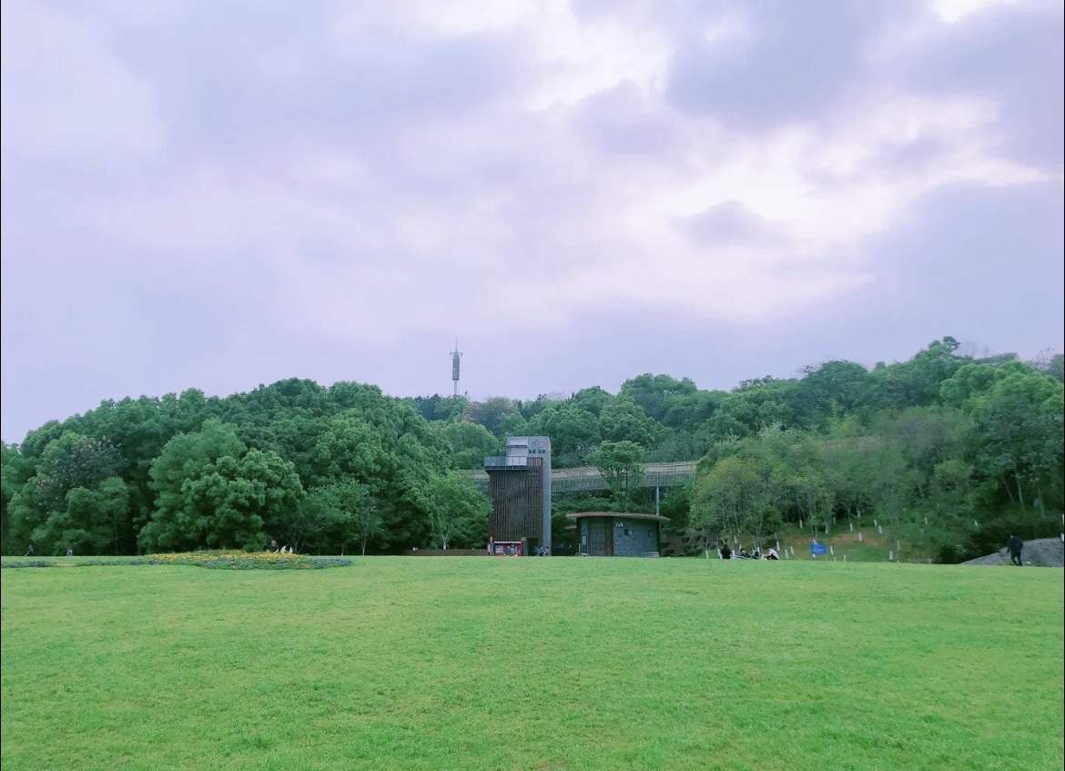 岭秀湖市民公园旅行图片 2