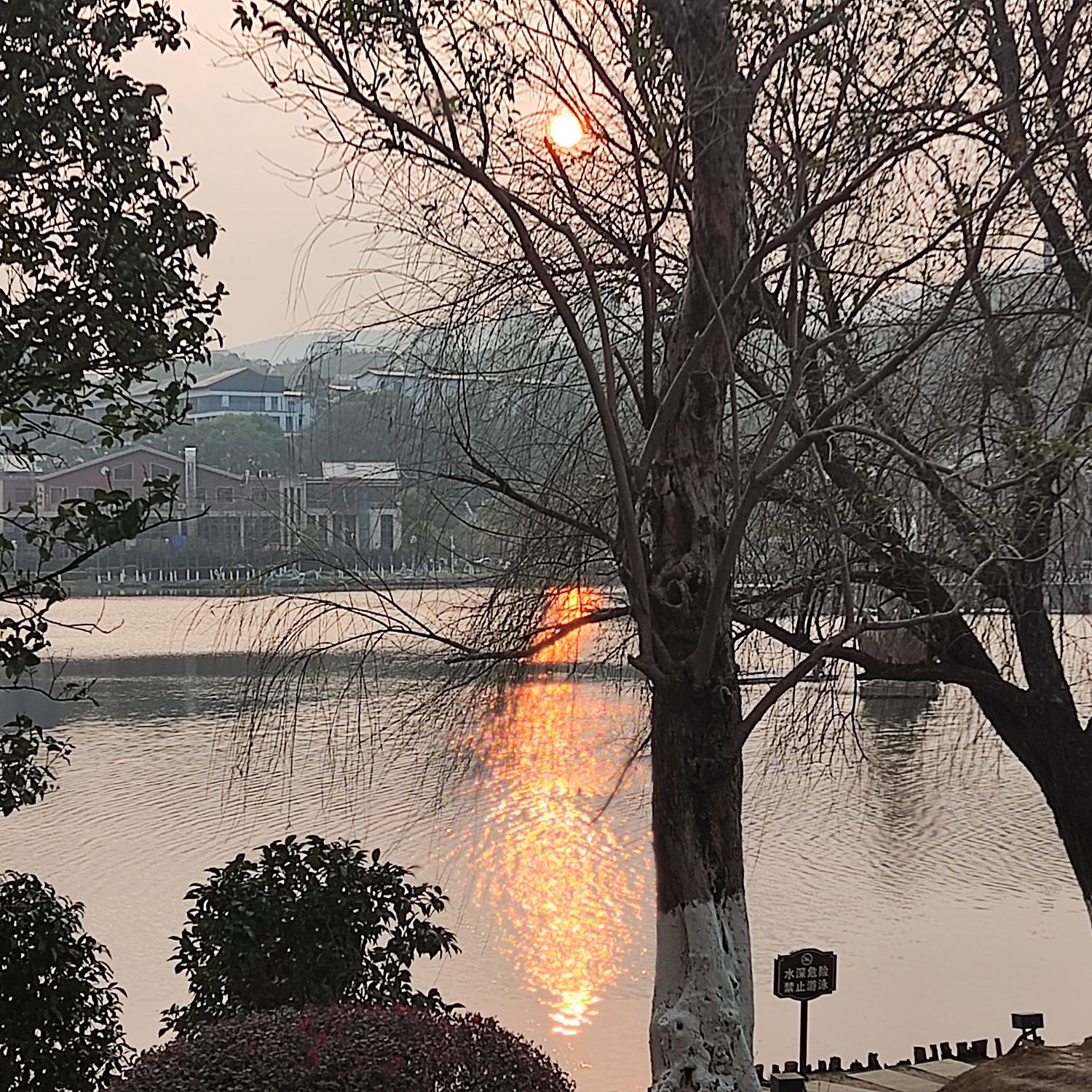 岭秀湖市民公园旅行图片 1
