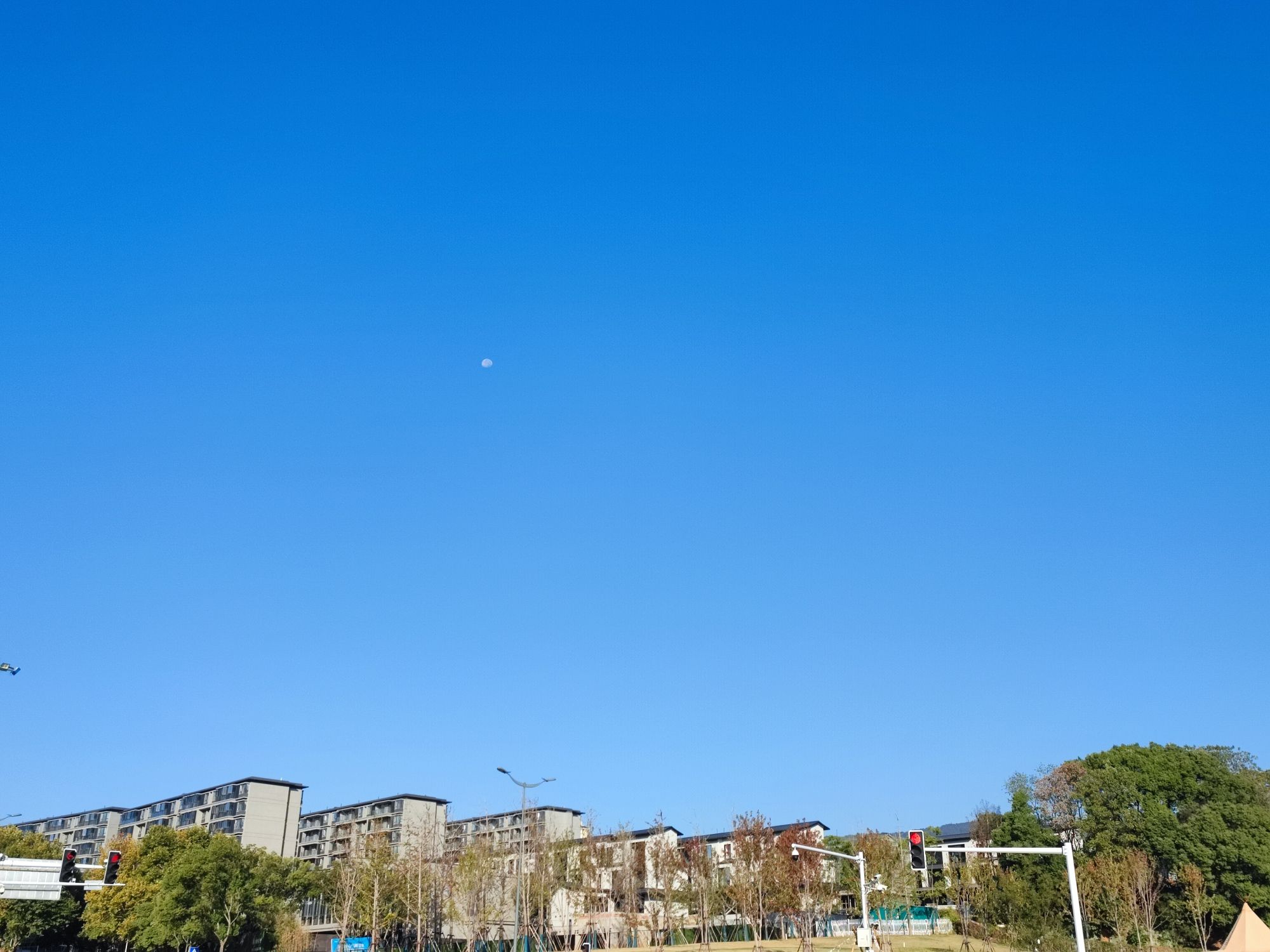 岭秀湖市民公园旅行图片 3