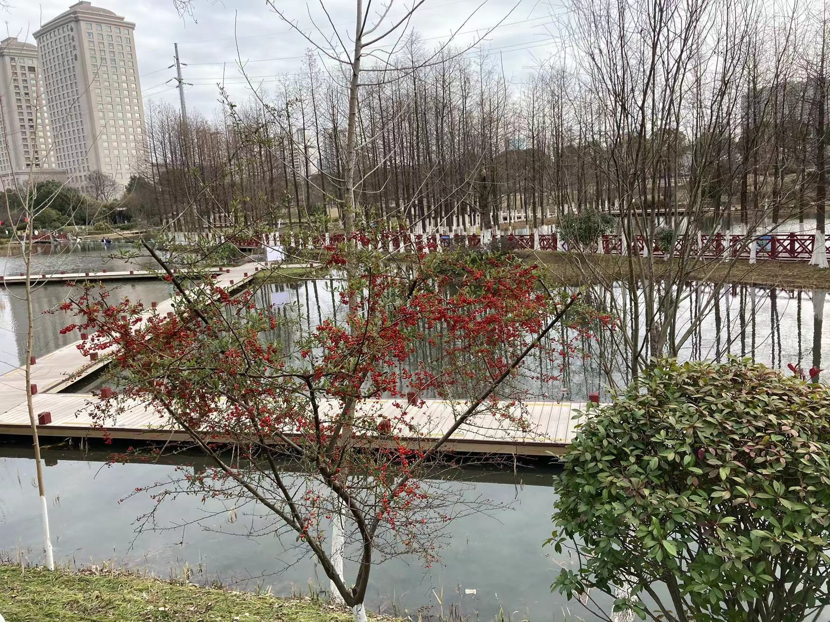 丁塘河湿地公园旅行图片 2