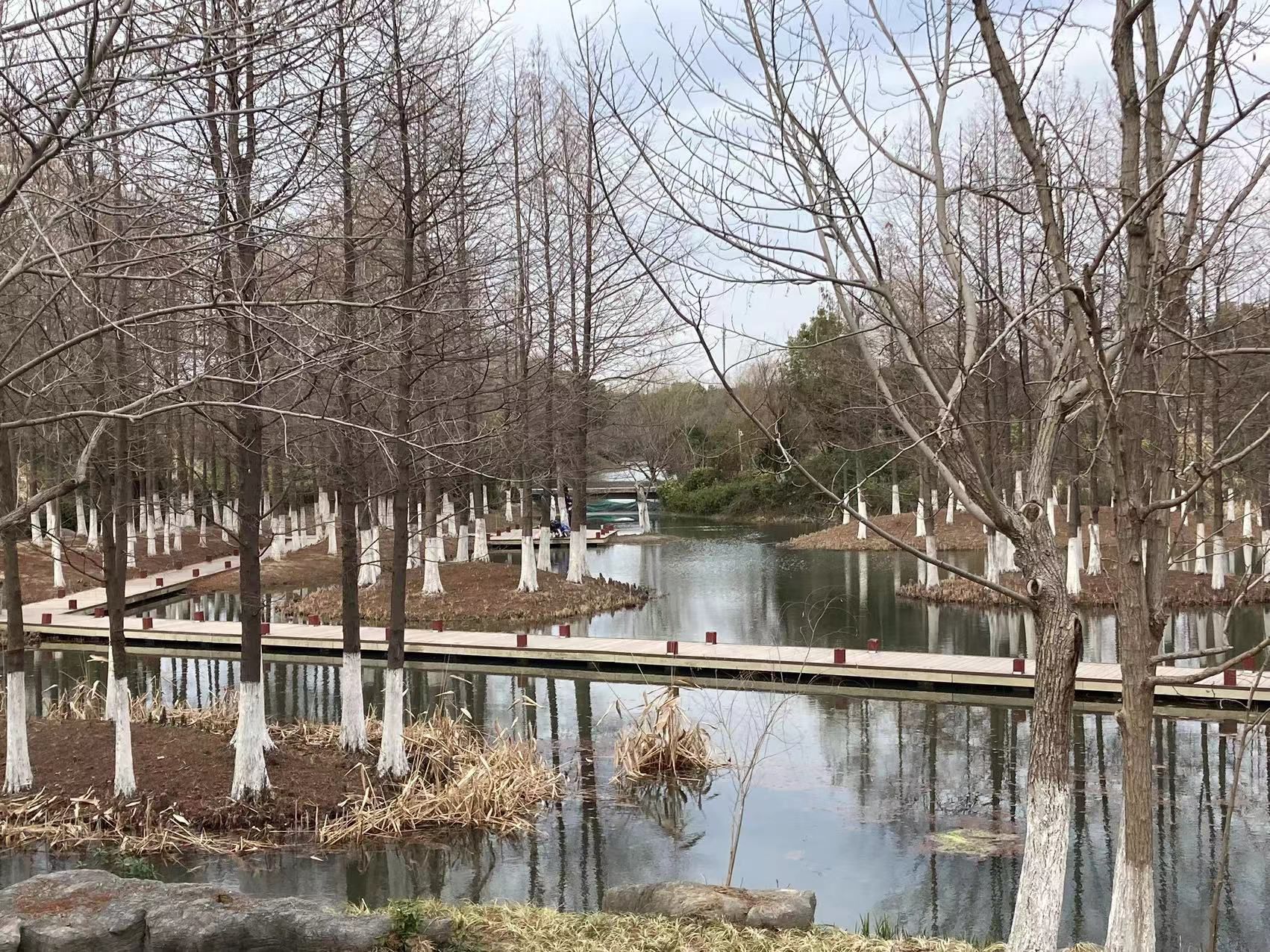 丁塘河湿地公园旅行图片 1