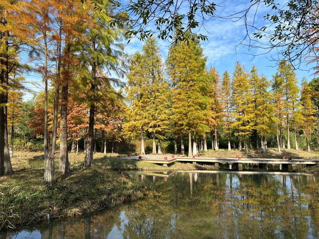 丁塘河湿地公园旅行图片 3