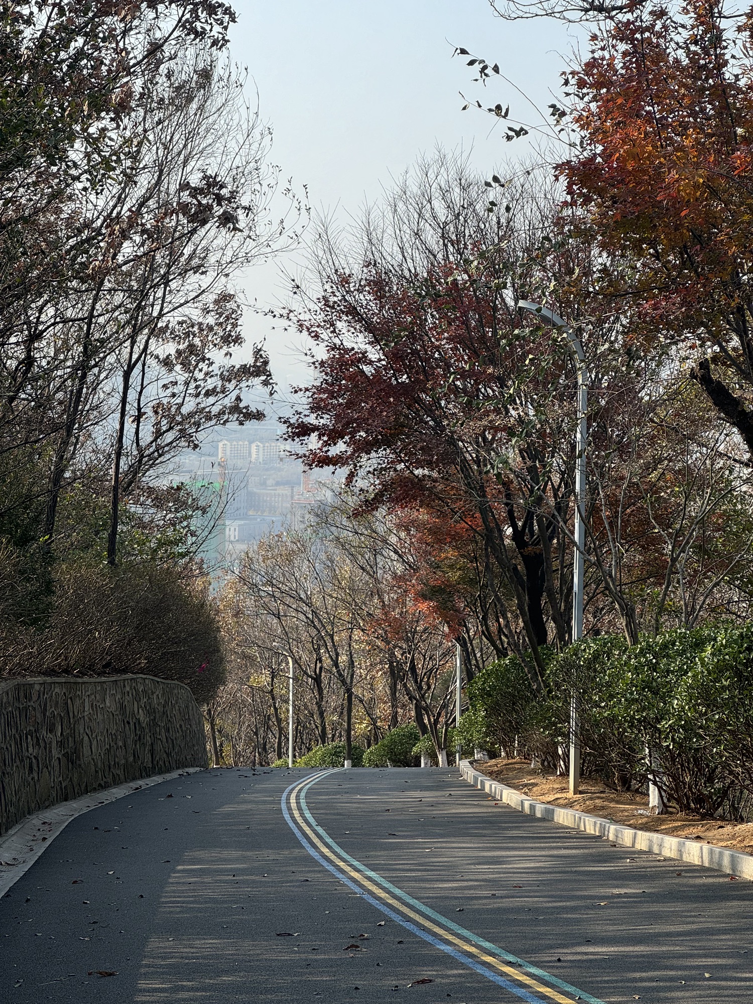 凤凰山公园旅行图片 1