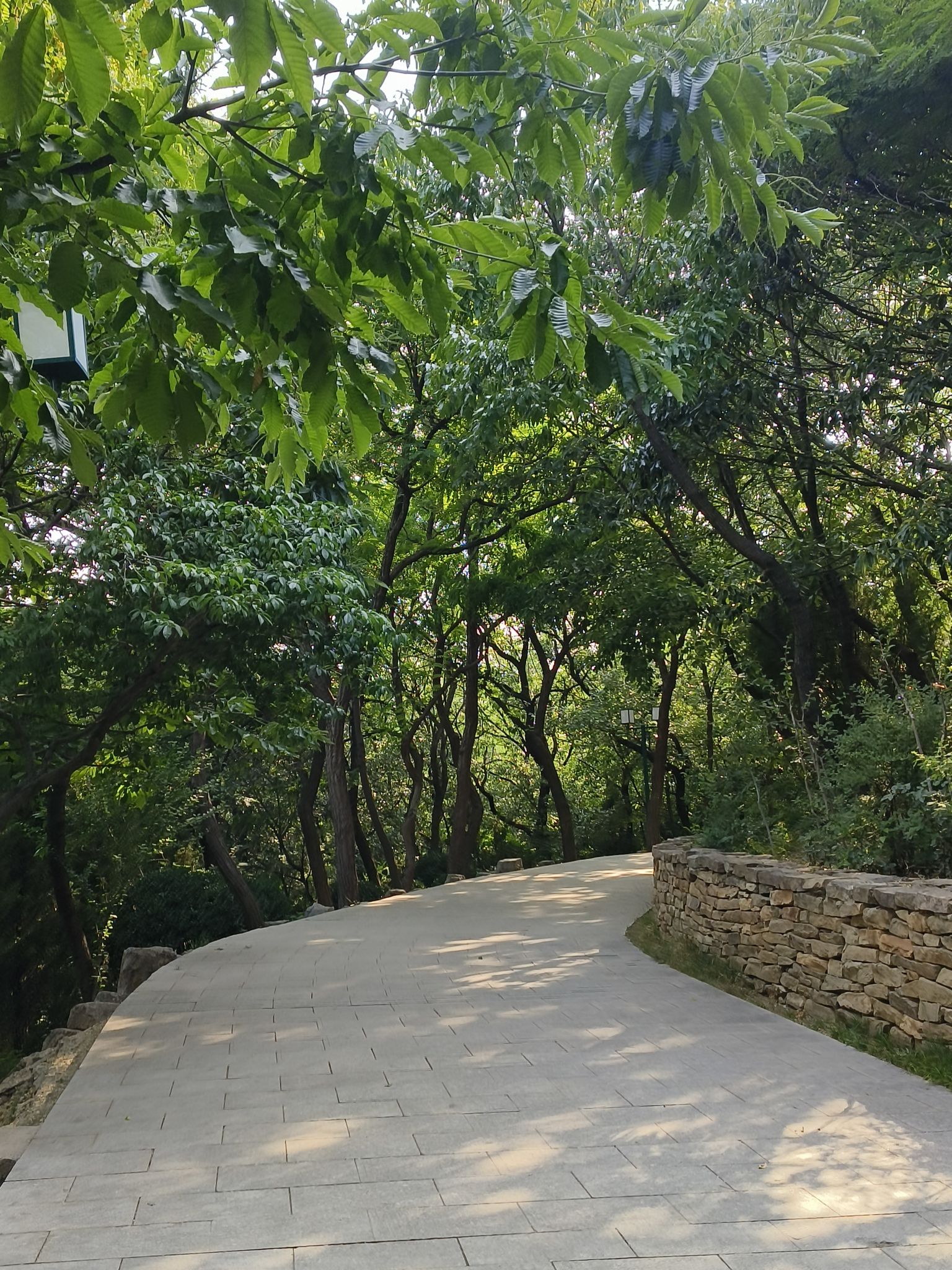 凤凰山公园旅行图片 2