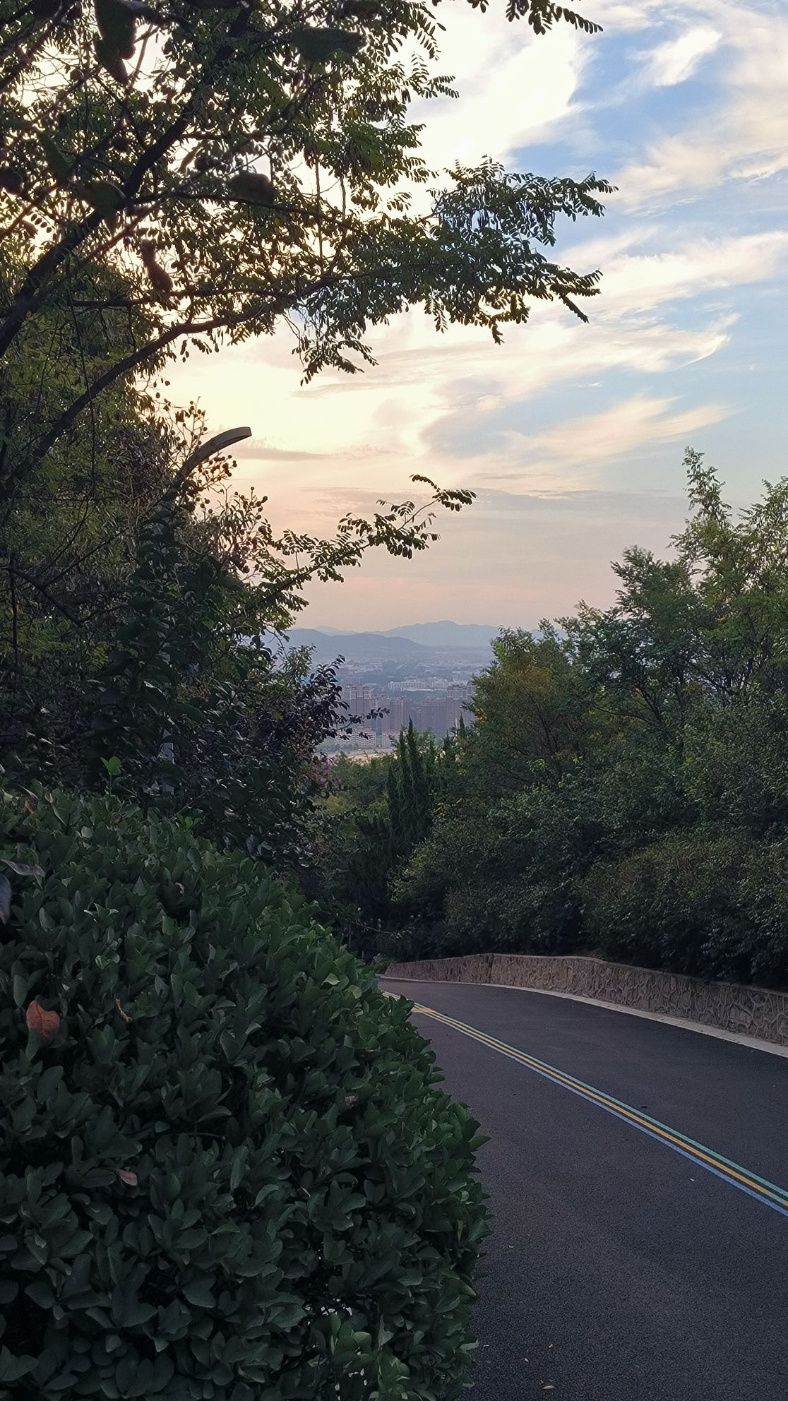 凤凰山公园旅行图片 1