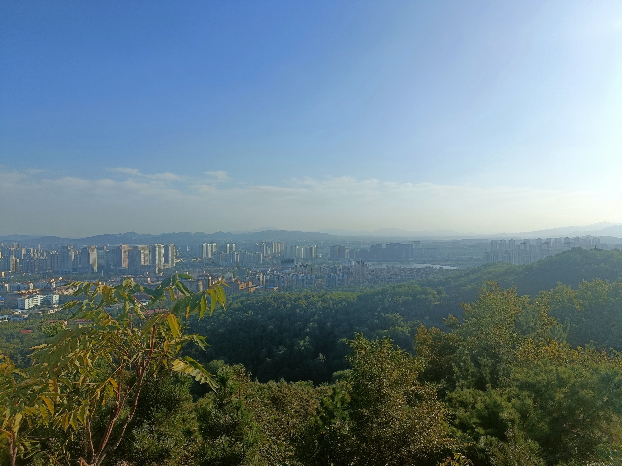 凤凰山公园旅行图片 1