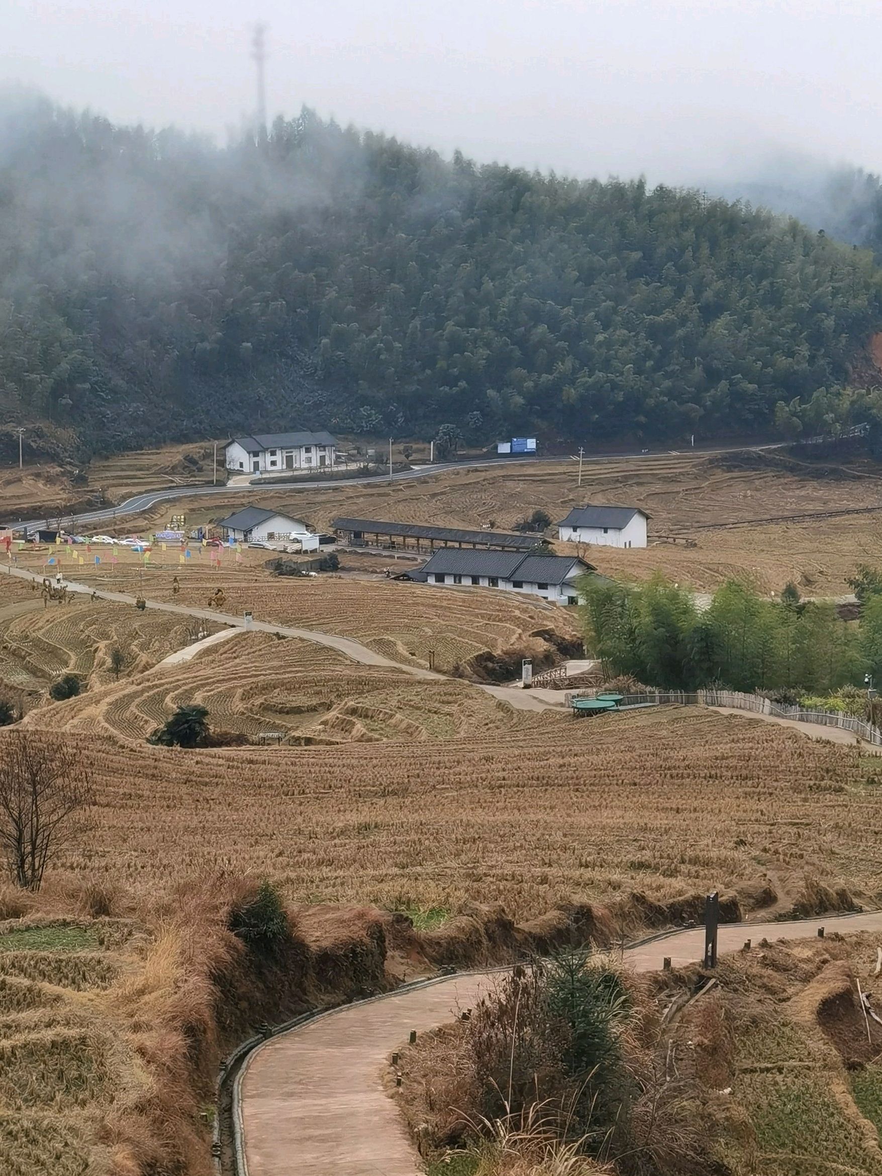 上堡梯田景区旅行图片 1