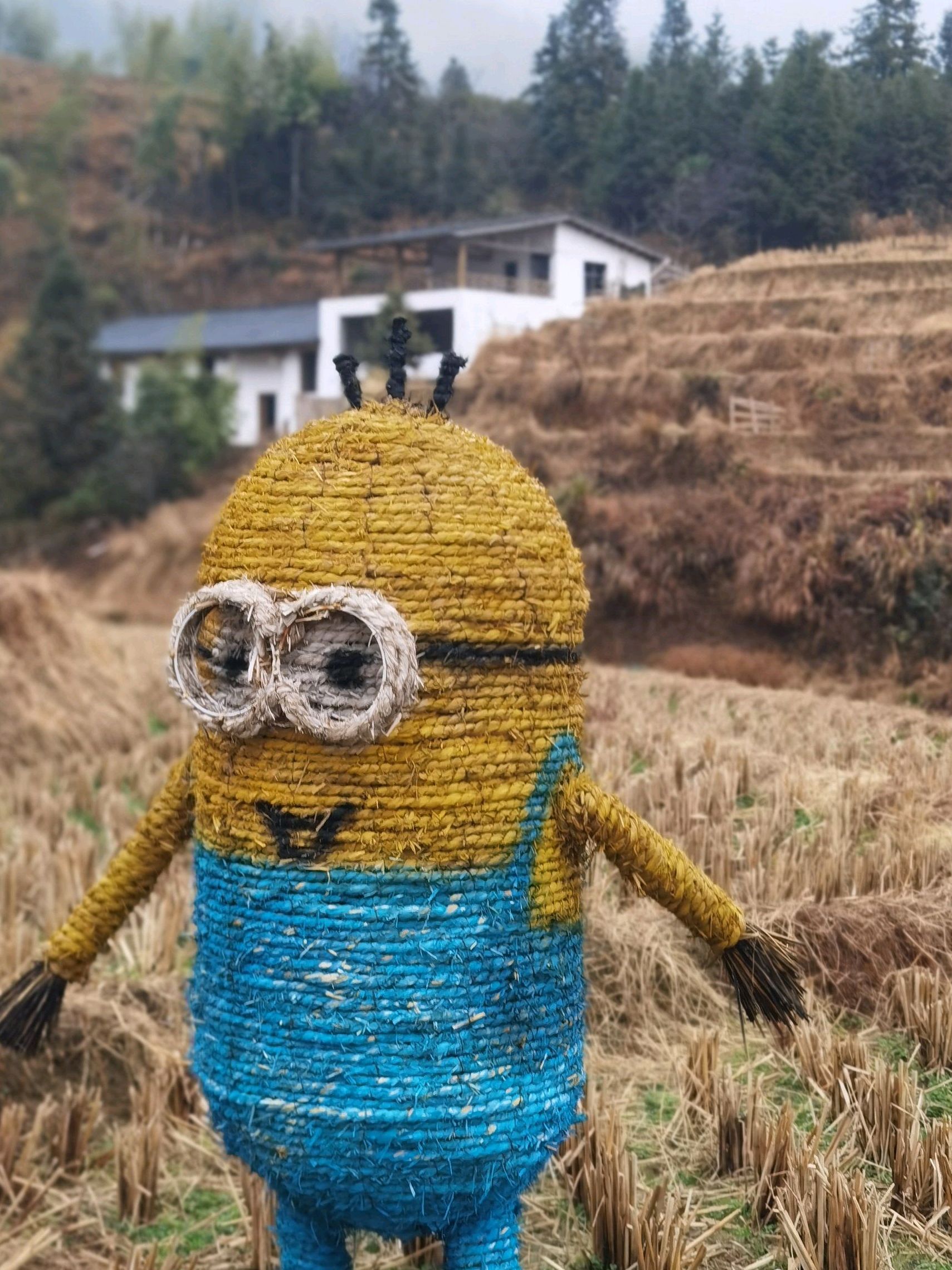 上堡梯田景区旅行图片 2