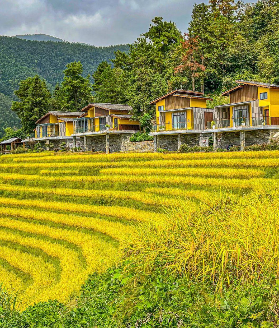 上堡梯田景区旅行图片 3