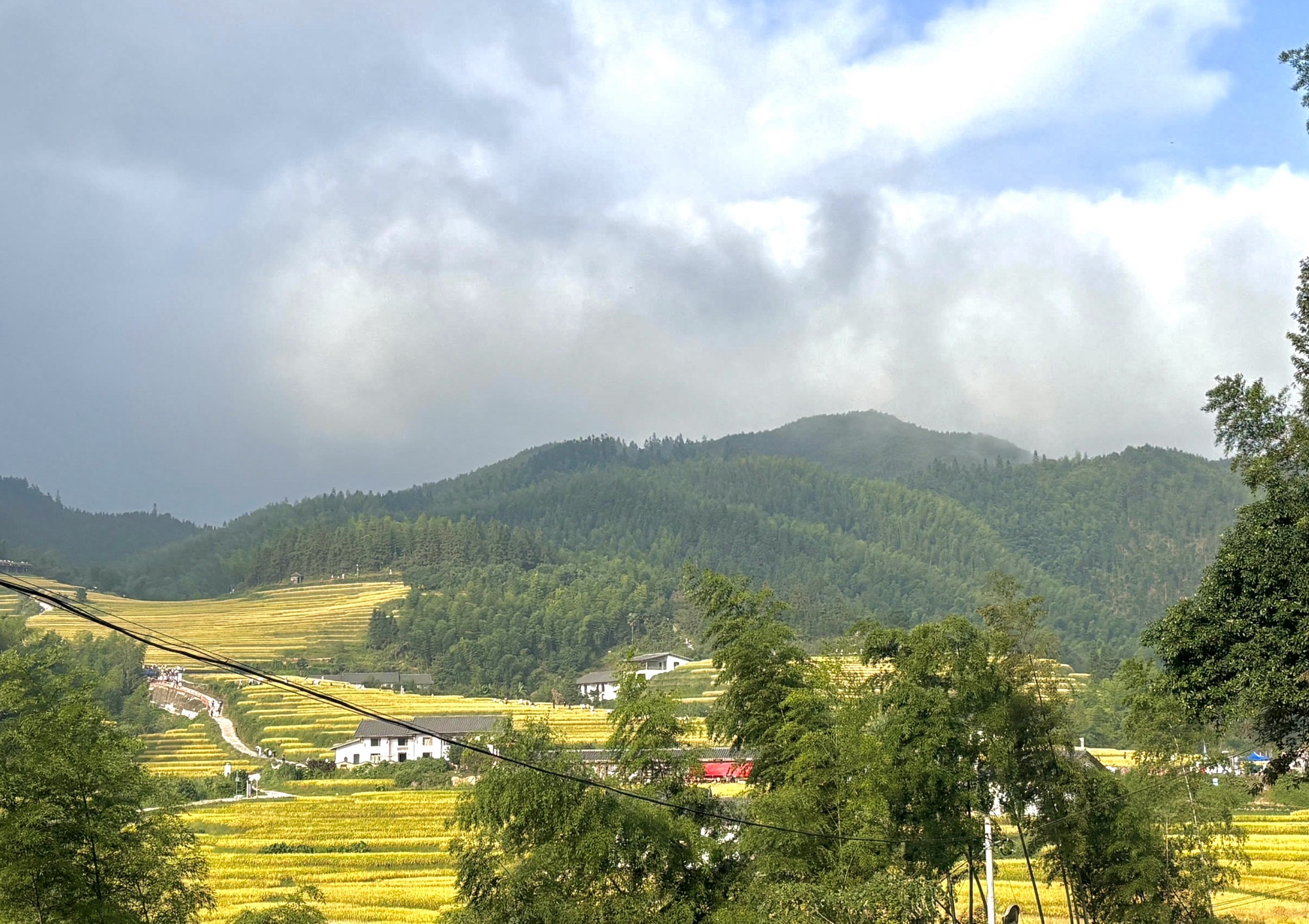 上堡梯田景区旅行图片 1