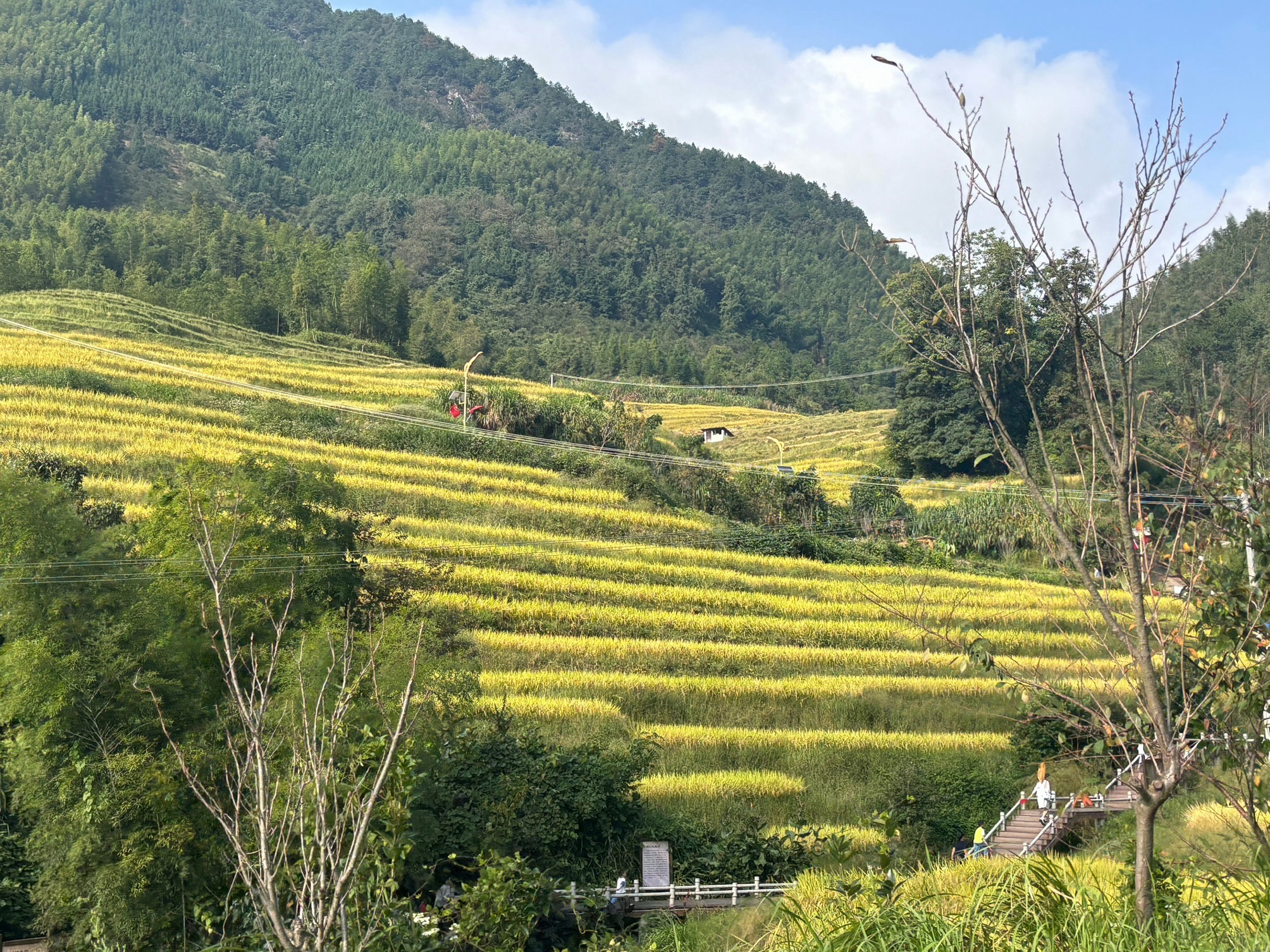 上堡梯田景区旅行图片 3
