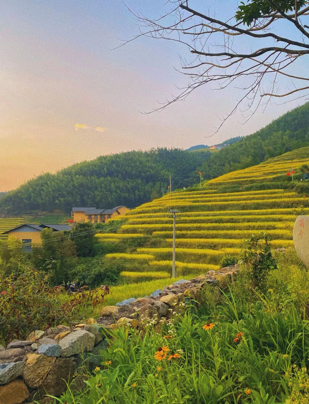 上堡梯田景区旅行图片 1