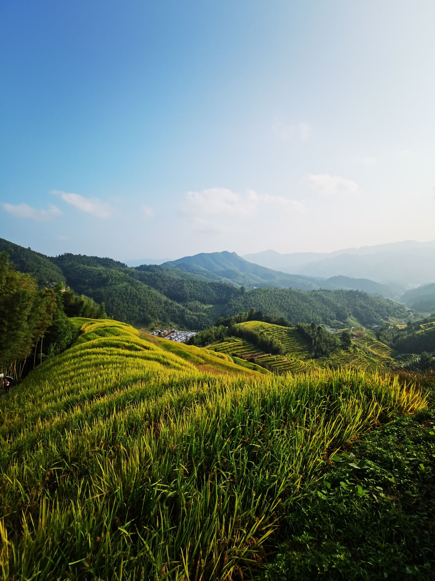 上堡梯田景区旅行图片 3