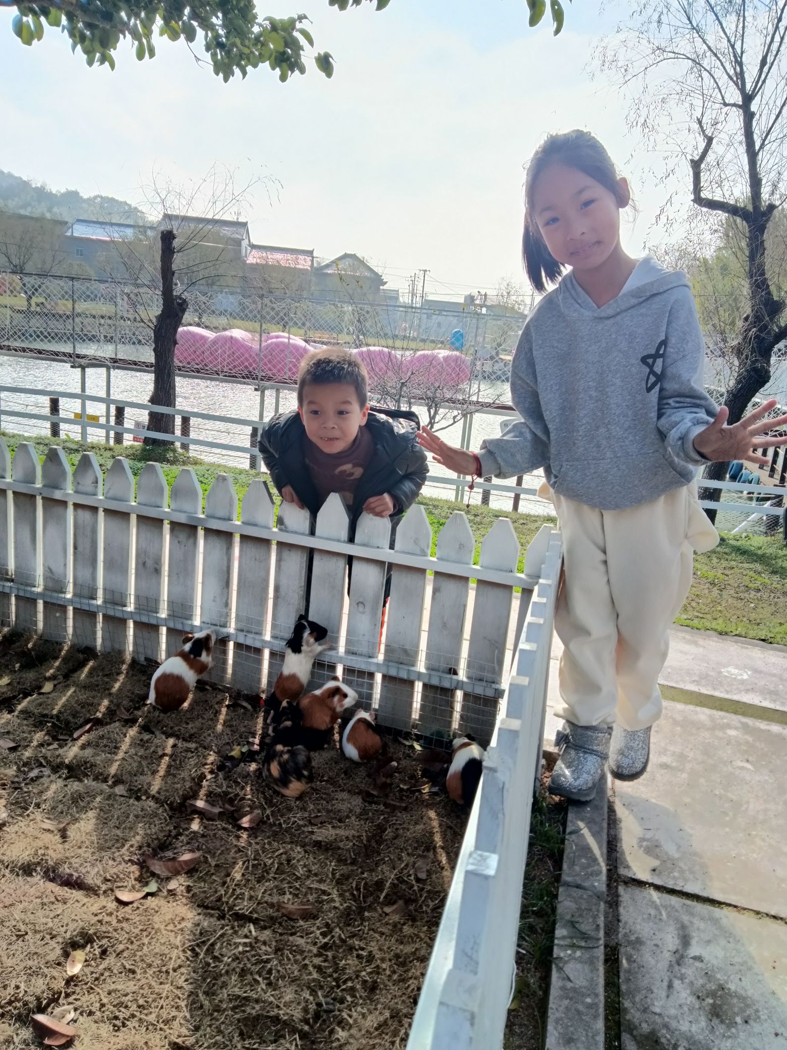 胡陈乡东山桃园旅行图片 2