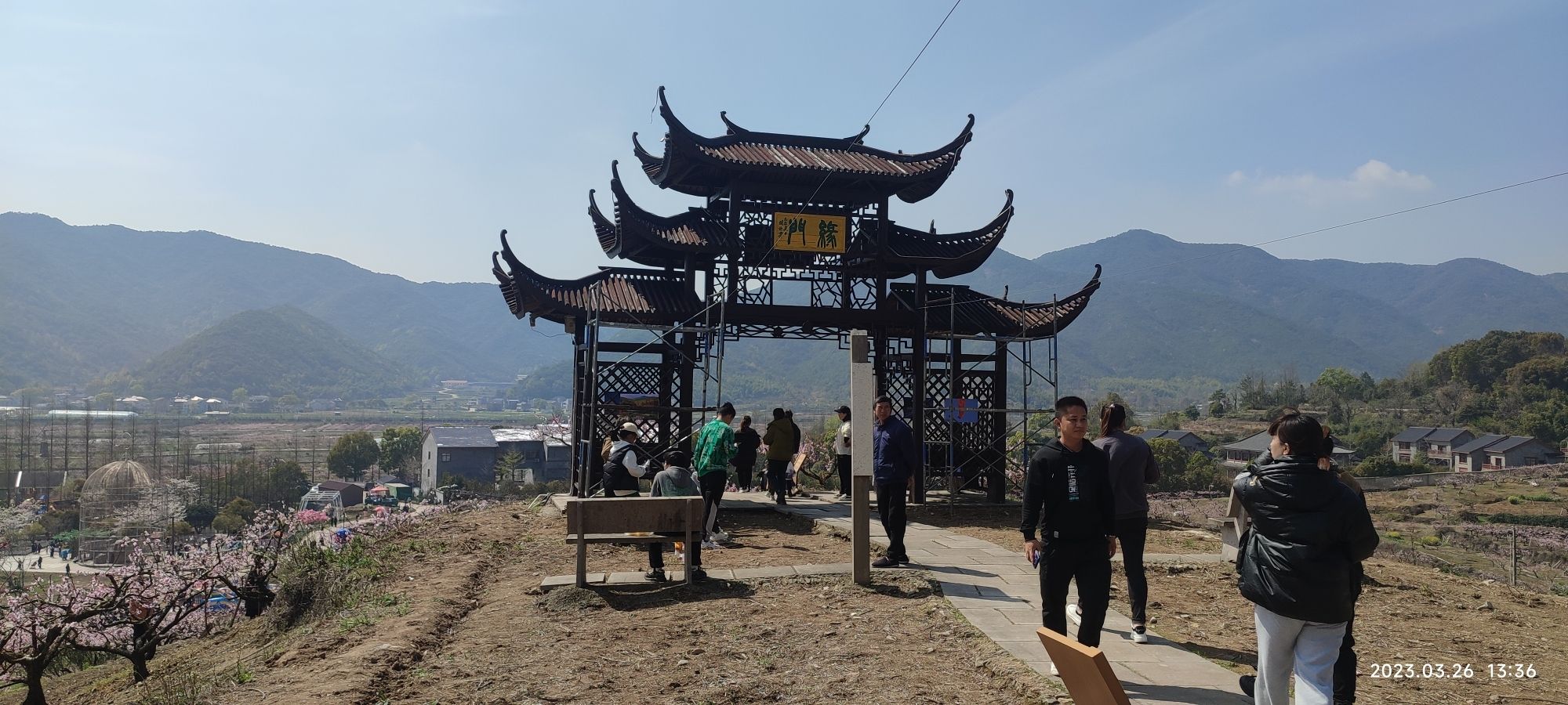 胡陈乡东山桃园旅行图片 1
