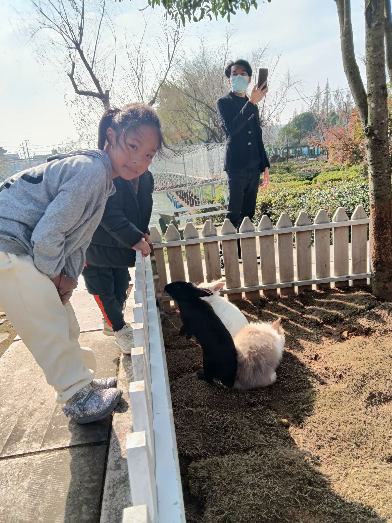 胡陈乡东山桃园旅行图片 3