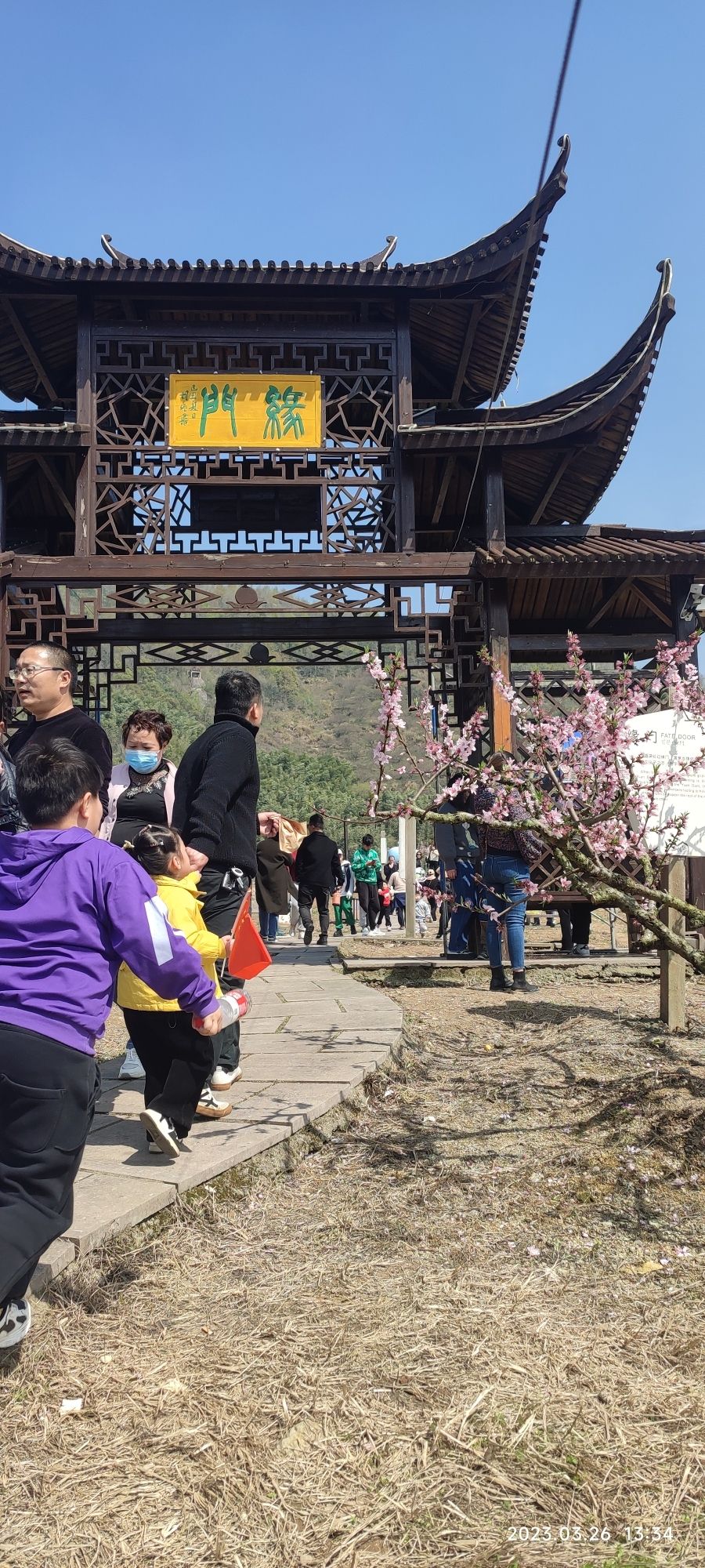 胡陈乡东山桃园旅行图片 3