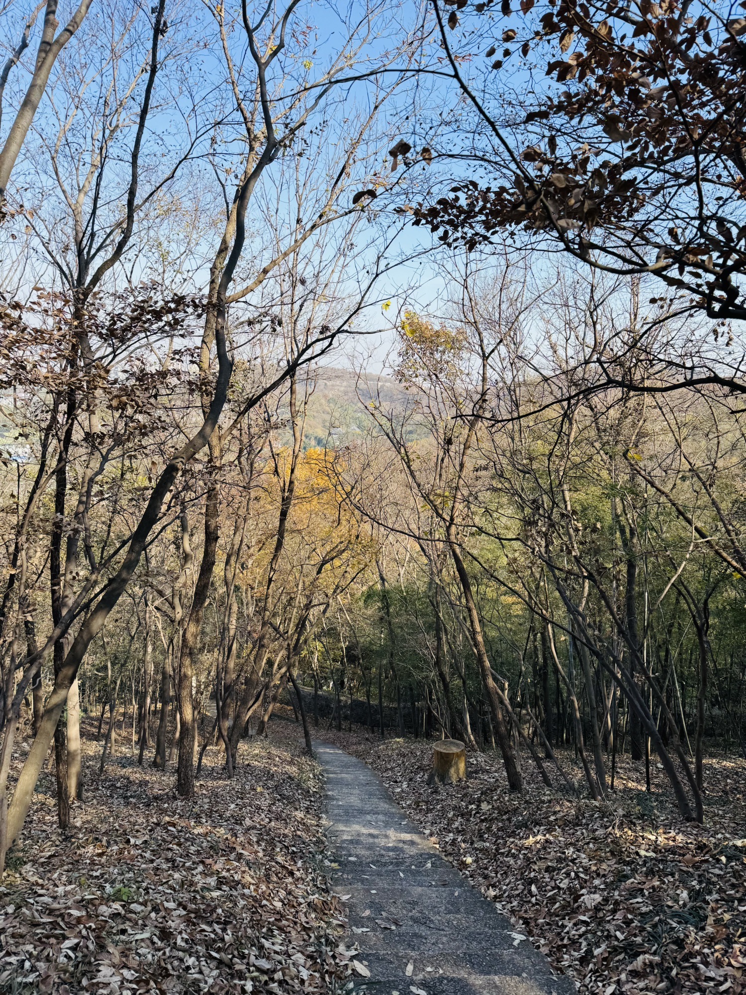 南山风景区-夹山