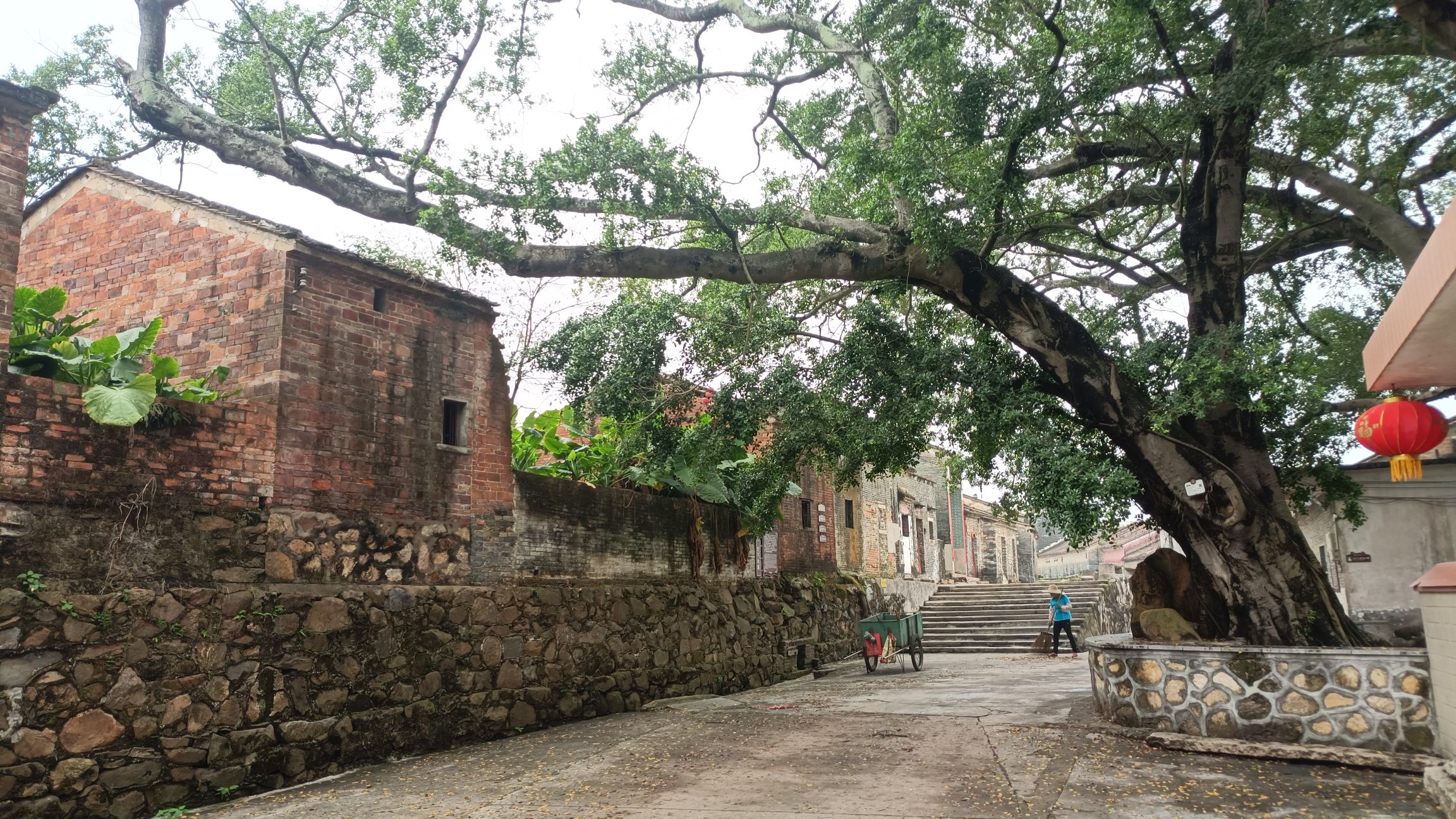 八卦村景区(高要)旅行图片 2