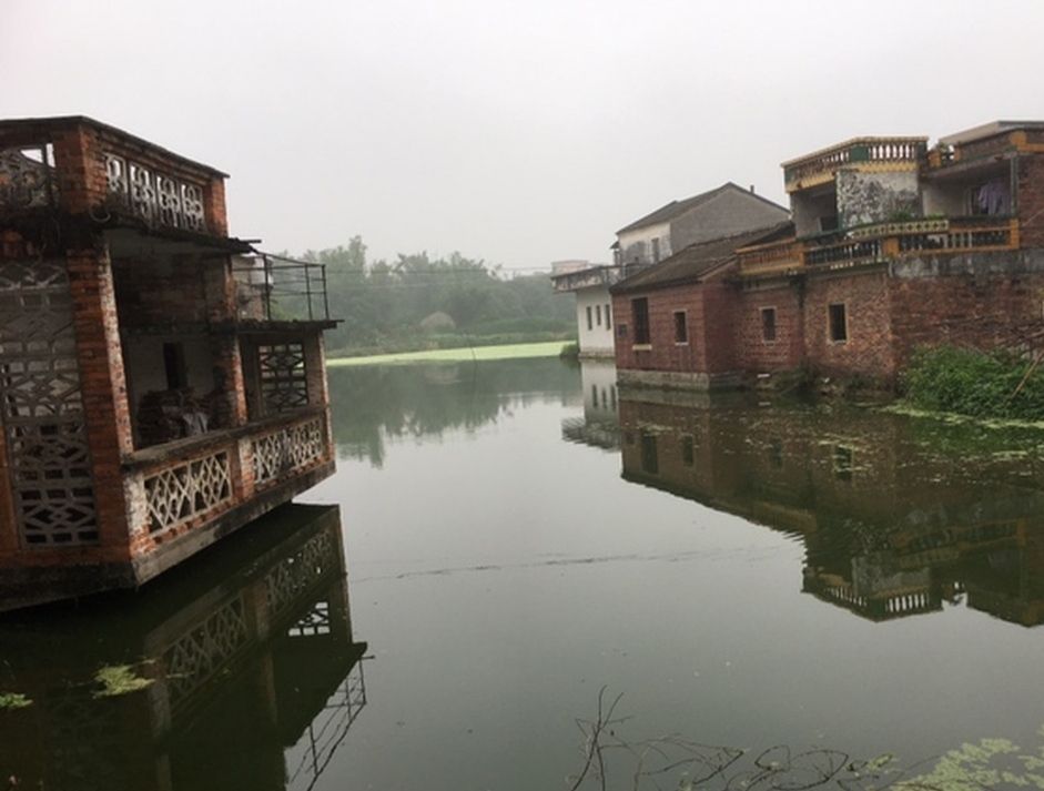 八卦村景区(高要)旅行图片 3