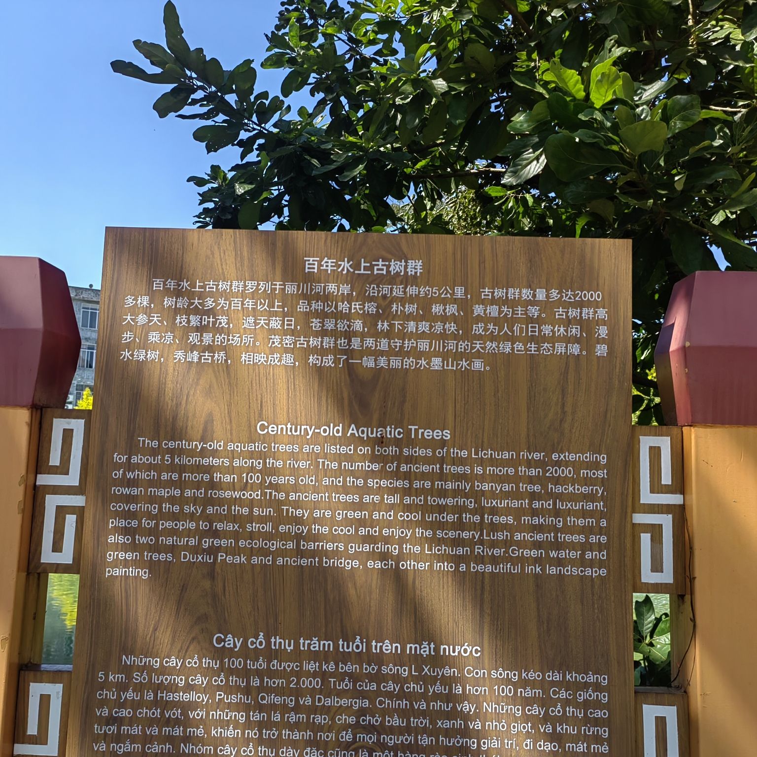 丽川文化森林公园旅行图片 3