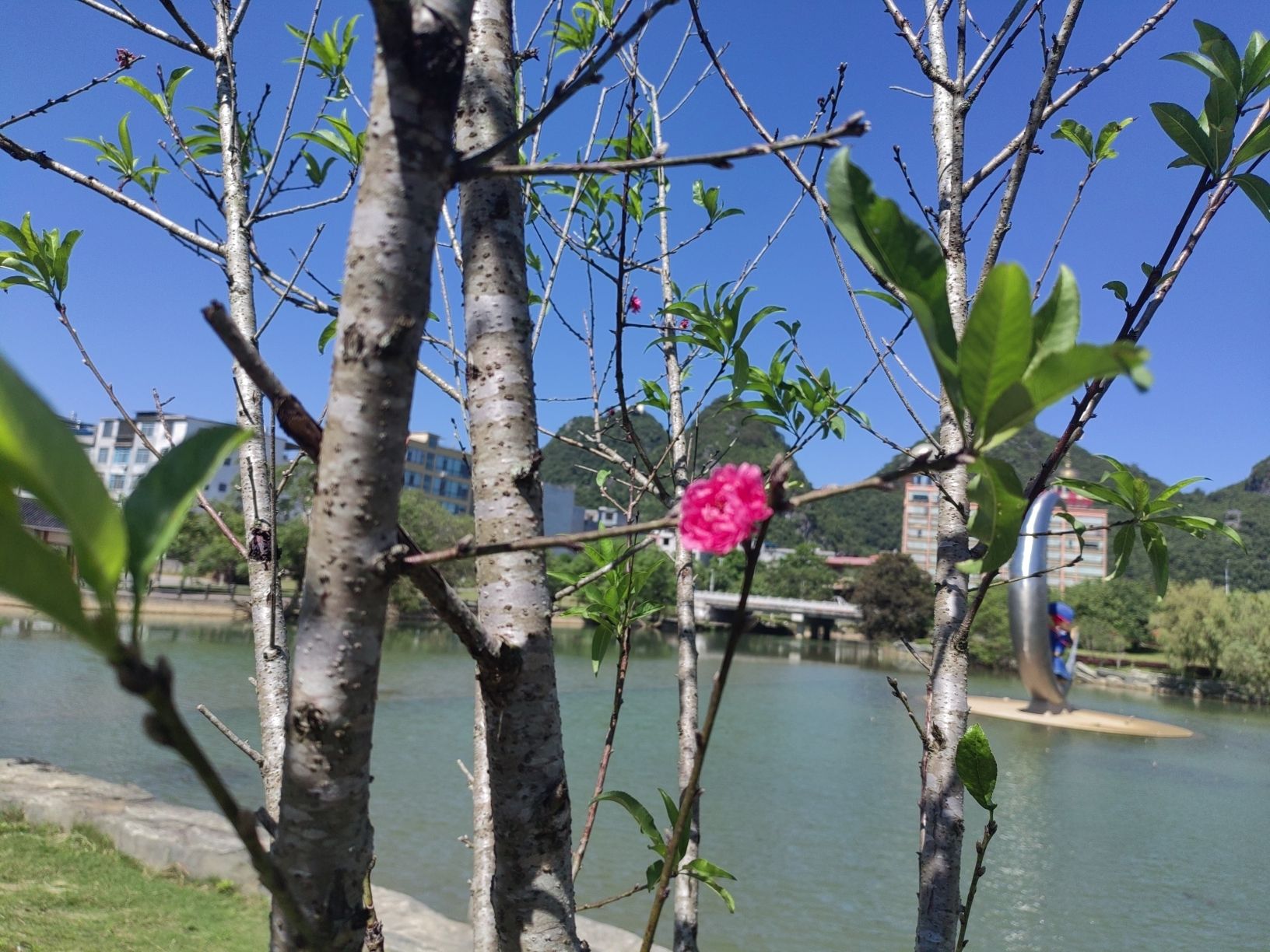丽川文化森林公园旅行图片 2
