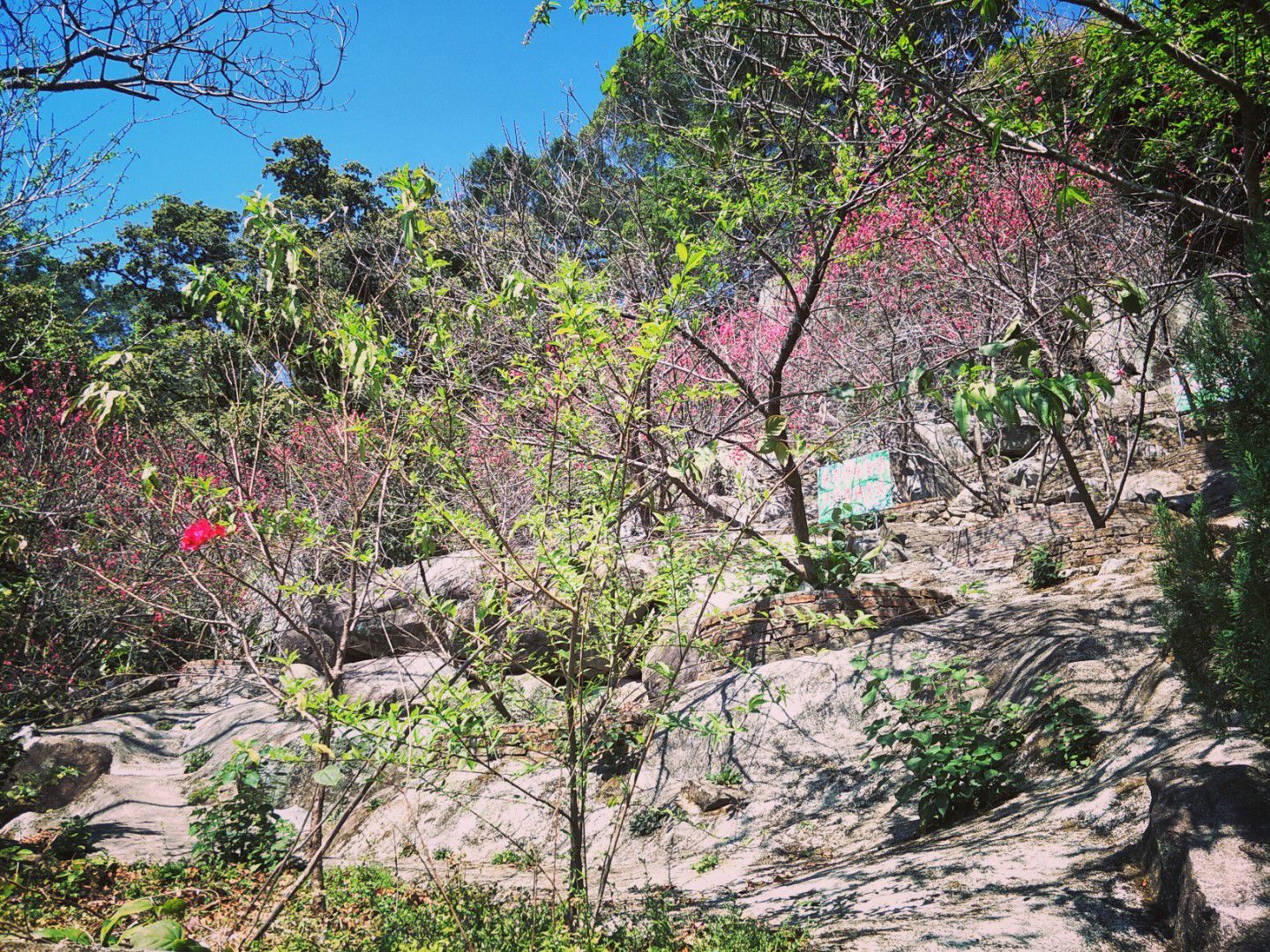 紫霄岩旅行图片 3