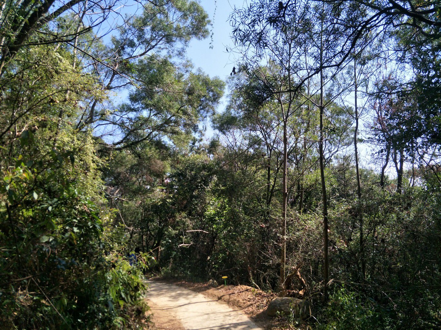 紫霄岩旅行图片 1