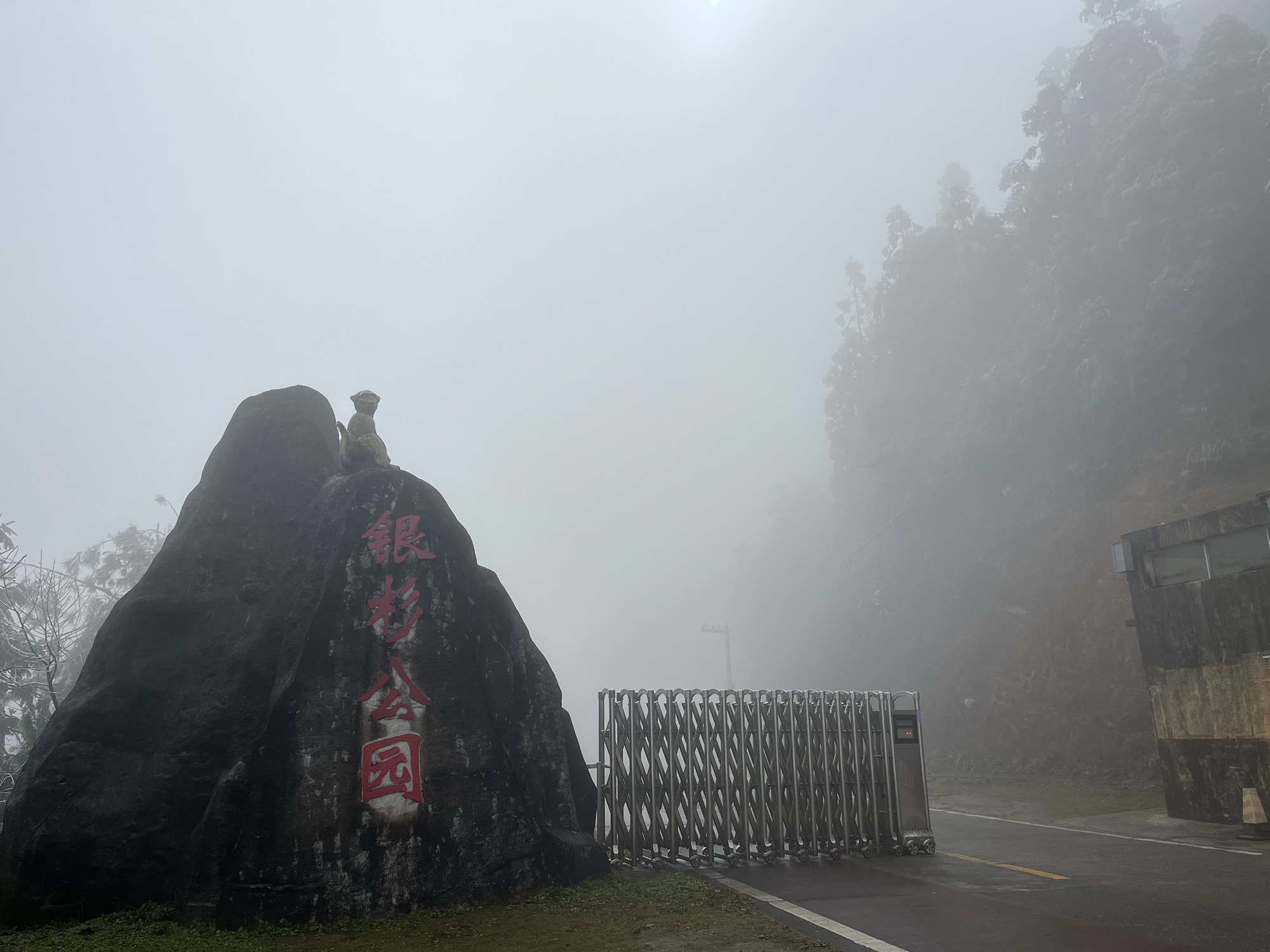 银杉公园旅行图片 1
