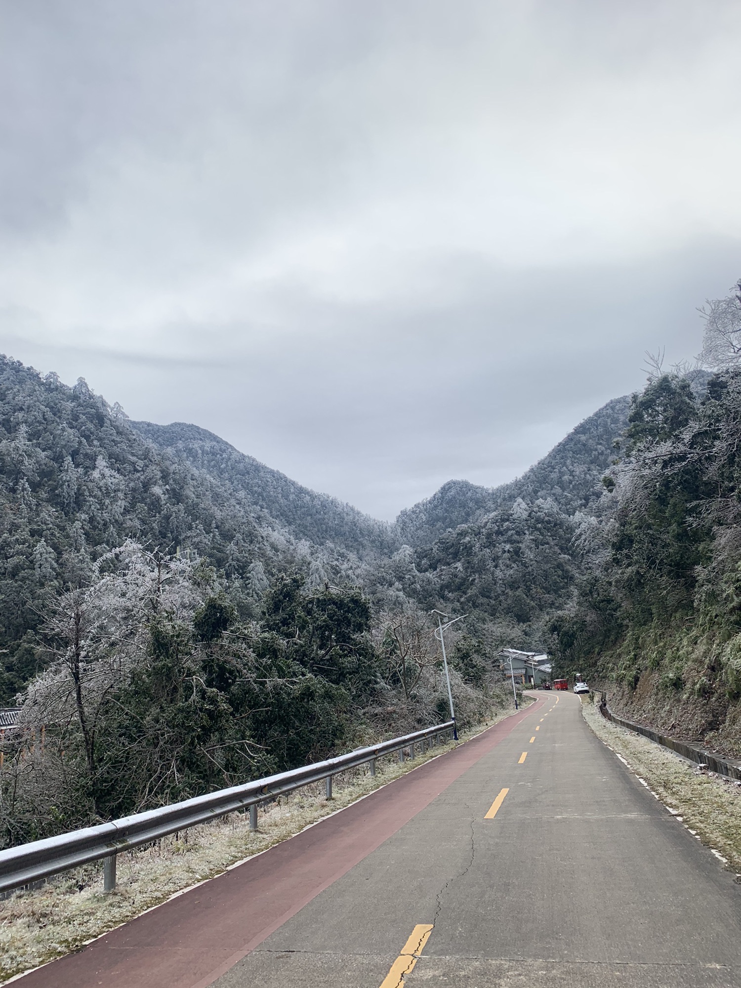 银杉公园旅行图片 1