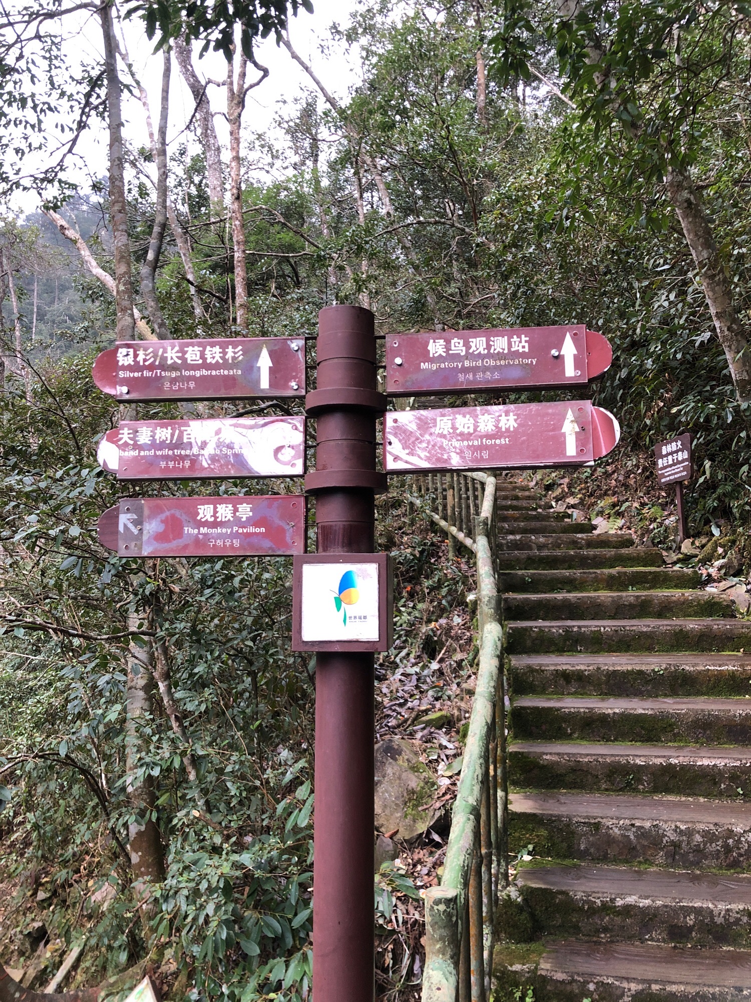 银杉公园旅行图片 3