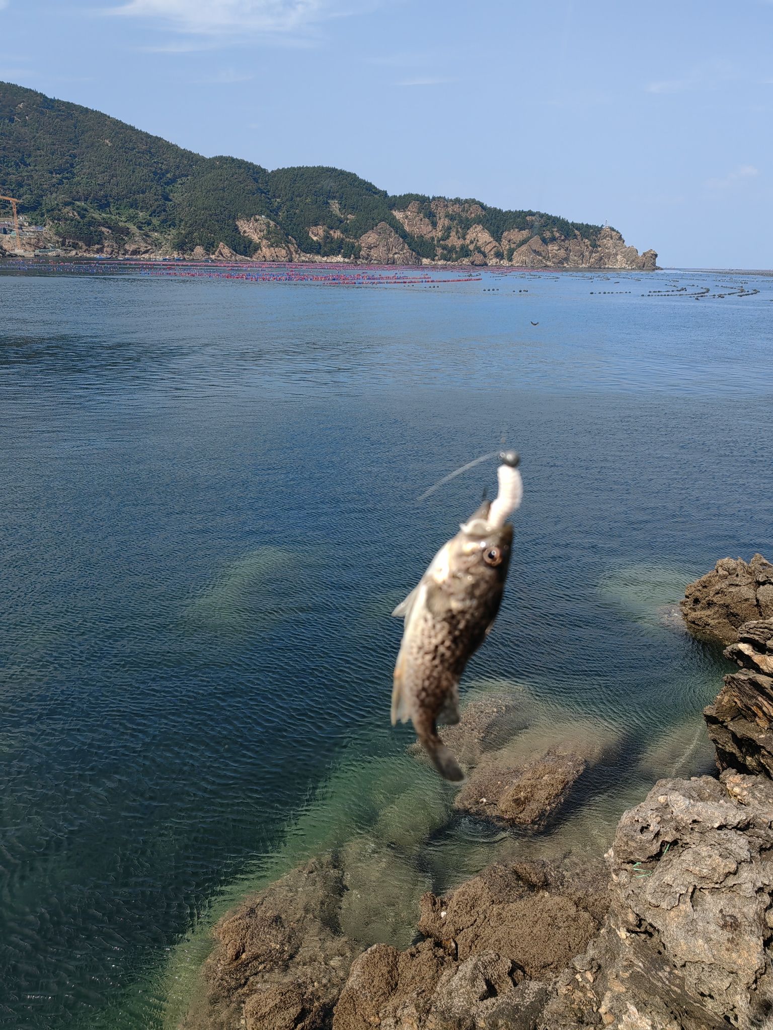 海洋岛旅行图片 1