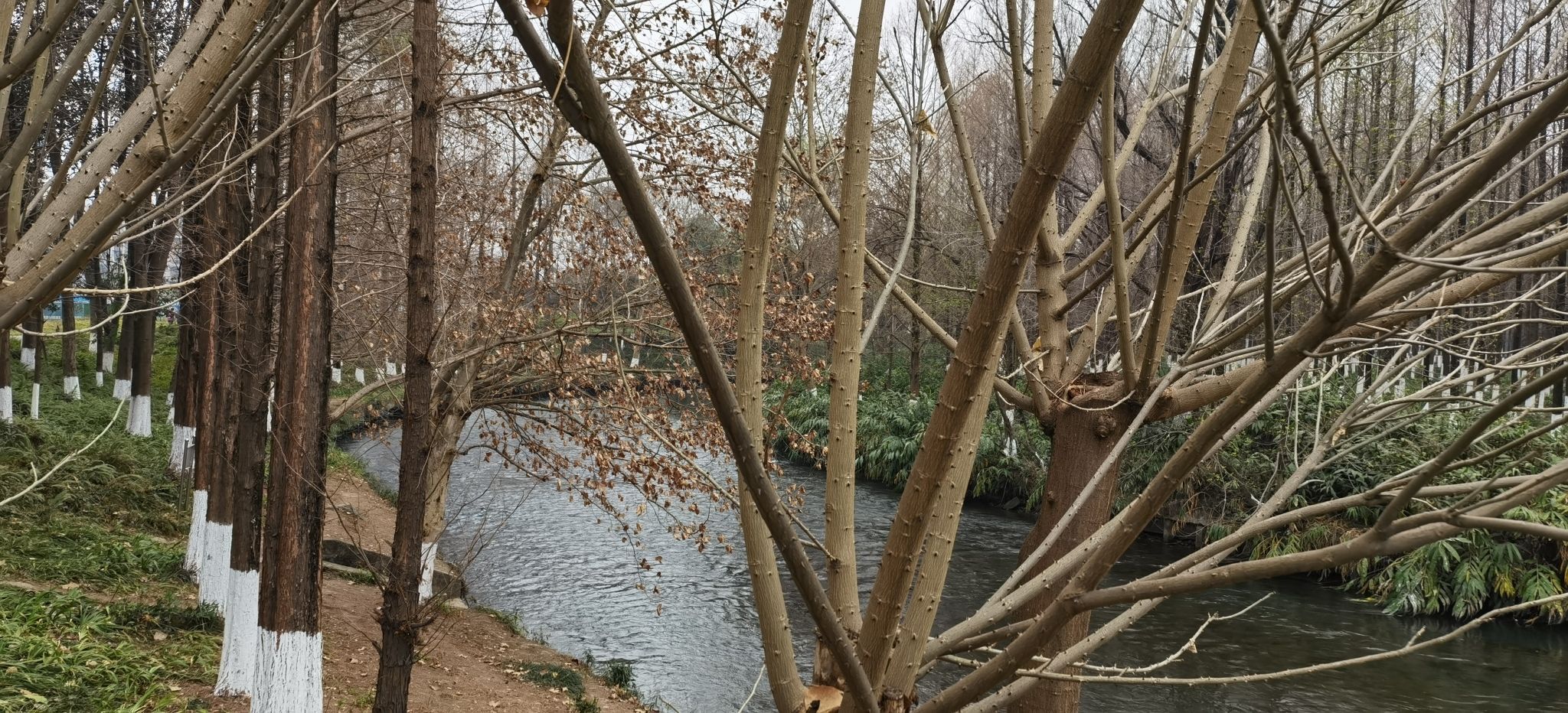 沙河公园旅行图片 2