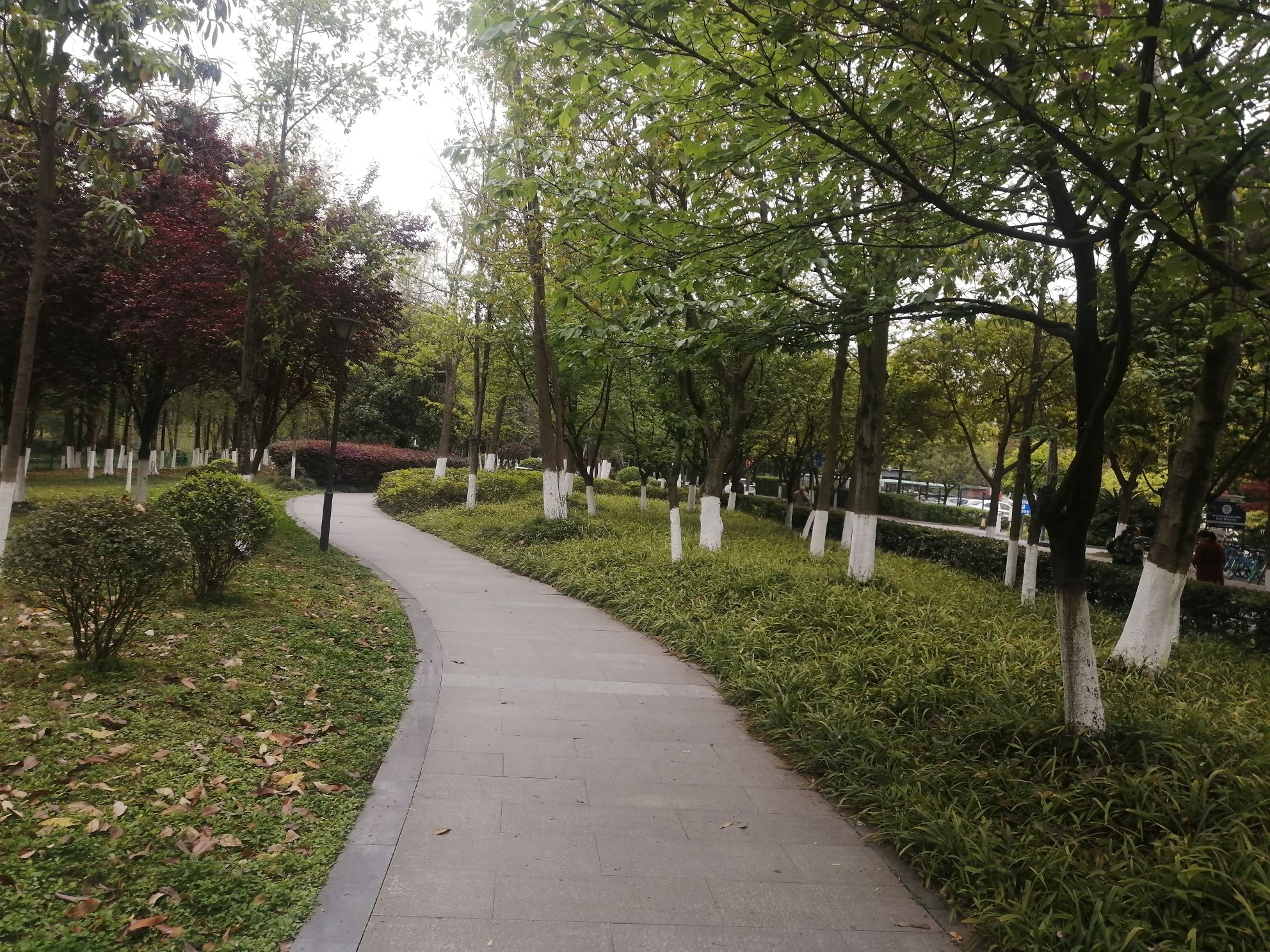 沙河公园旅行图片 3