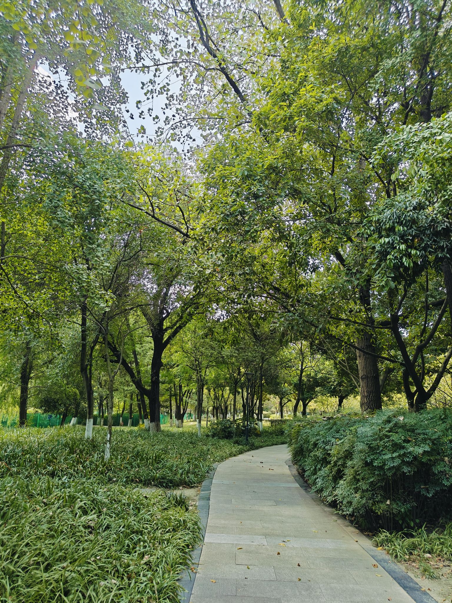 沙河公园旅行图片 1