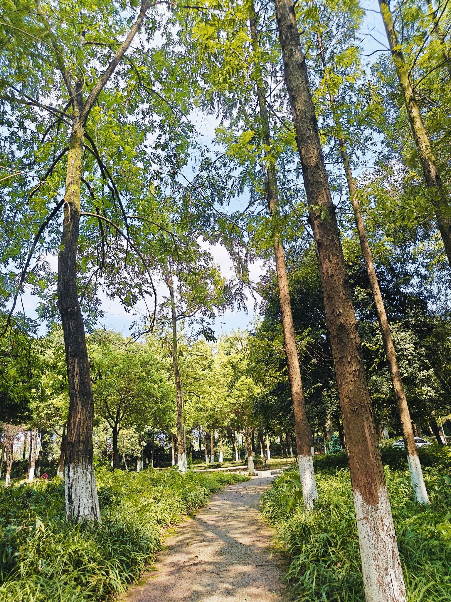 沙河公园旅行图片 2