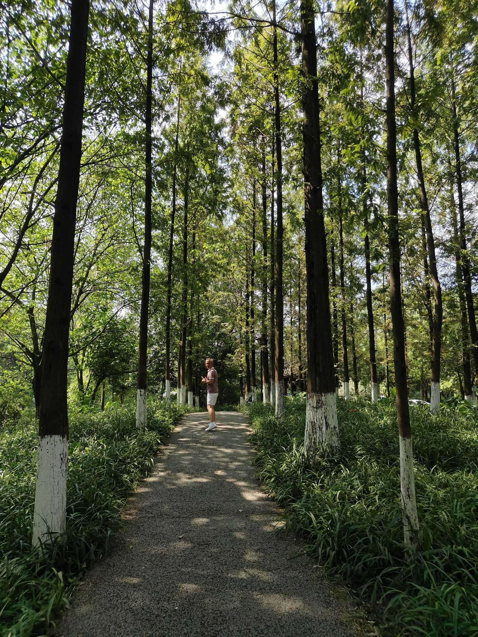 沙河公园旅行图片 1