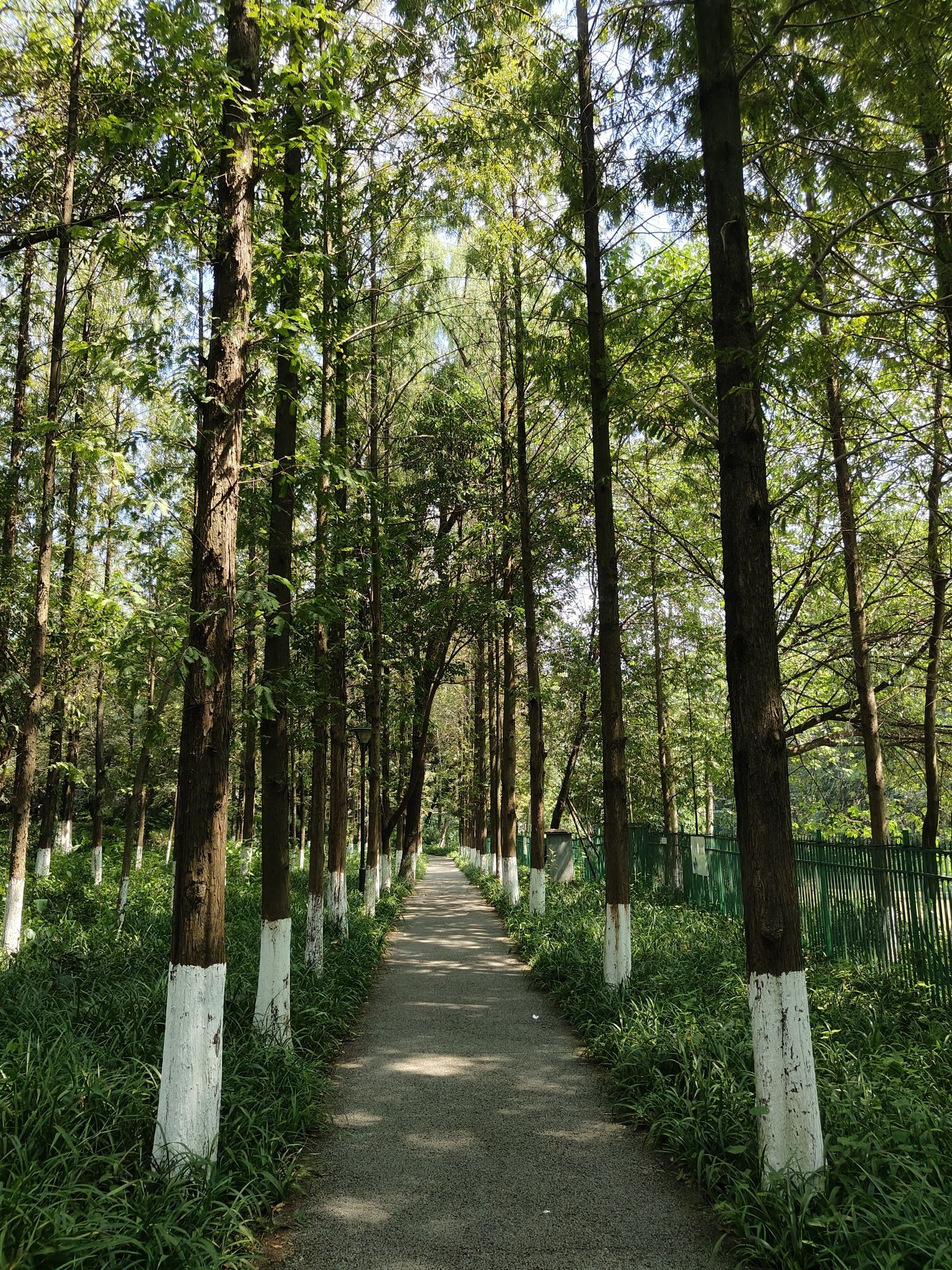 沙河公园旅行图片 2