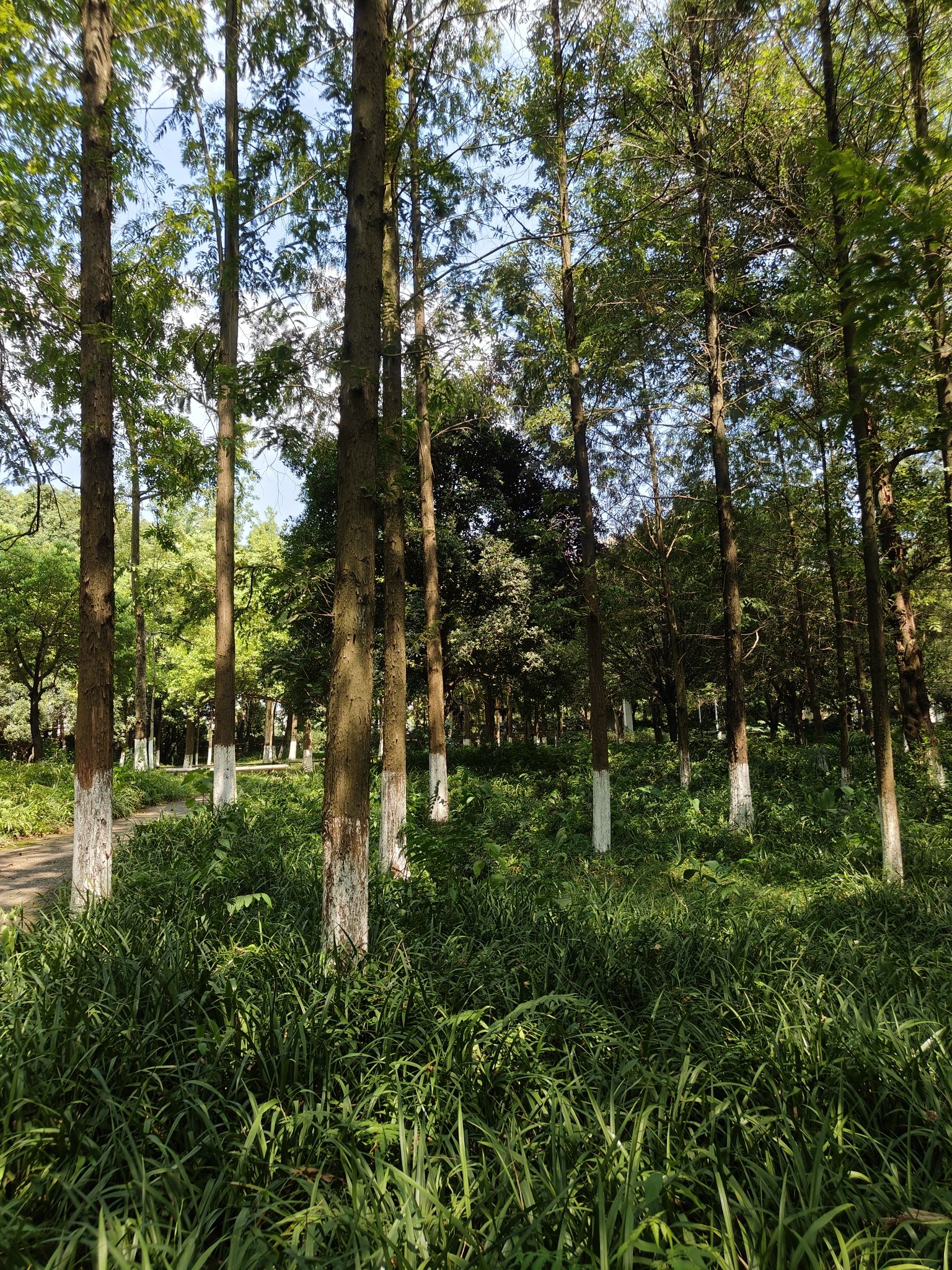 沙河公园旅行图片 3