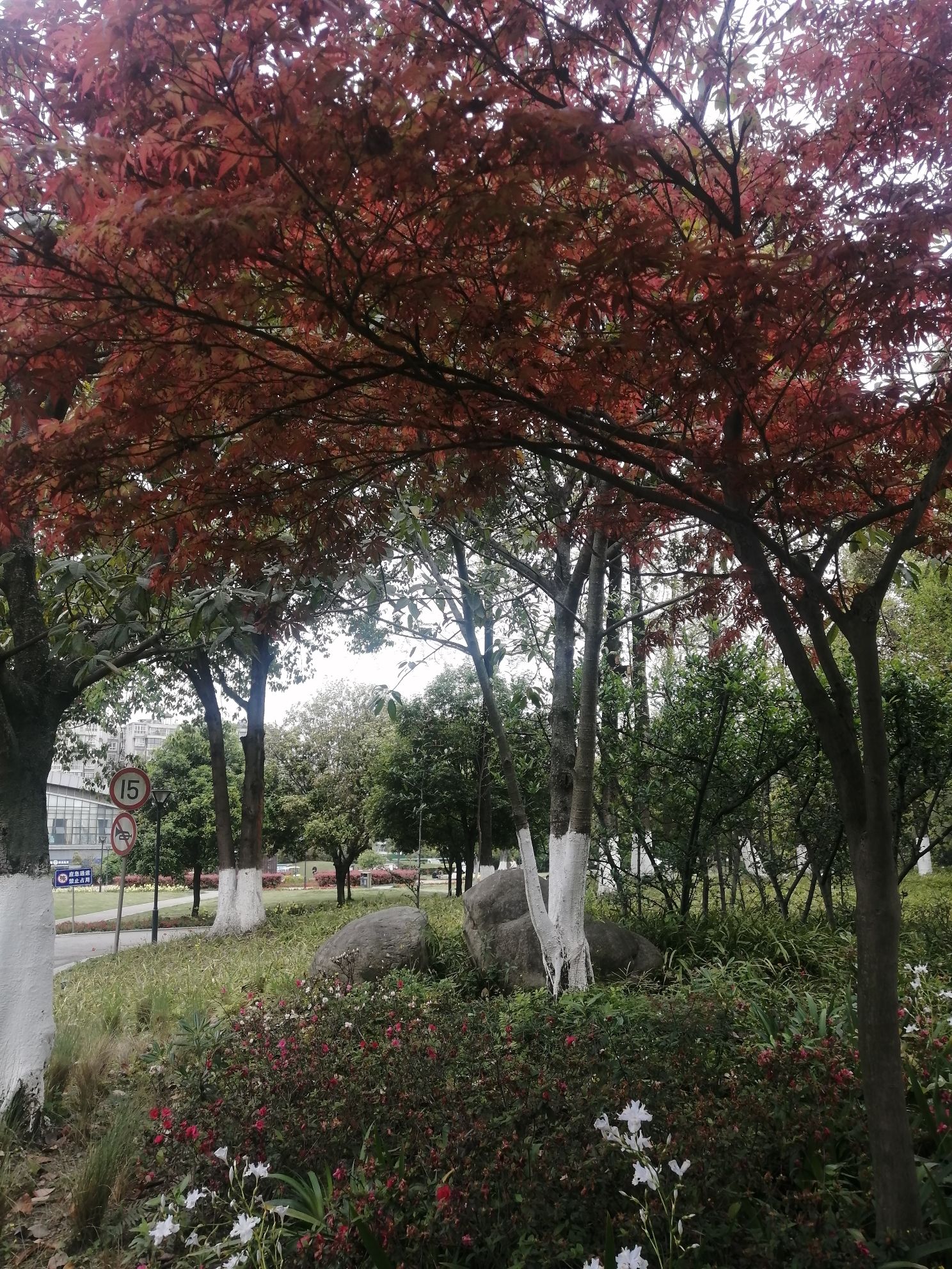 沙河公园旅行图片 2