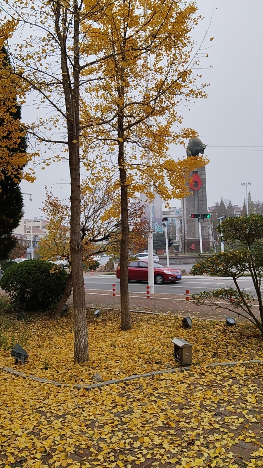 铜牛旅行图片 1