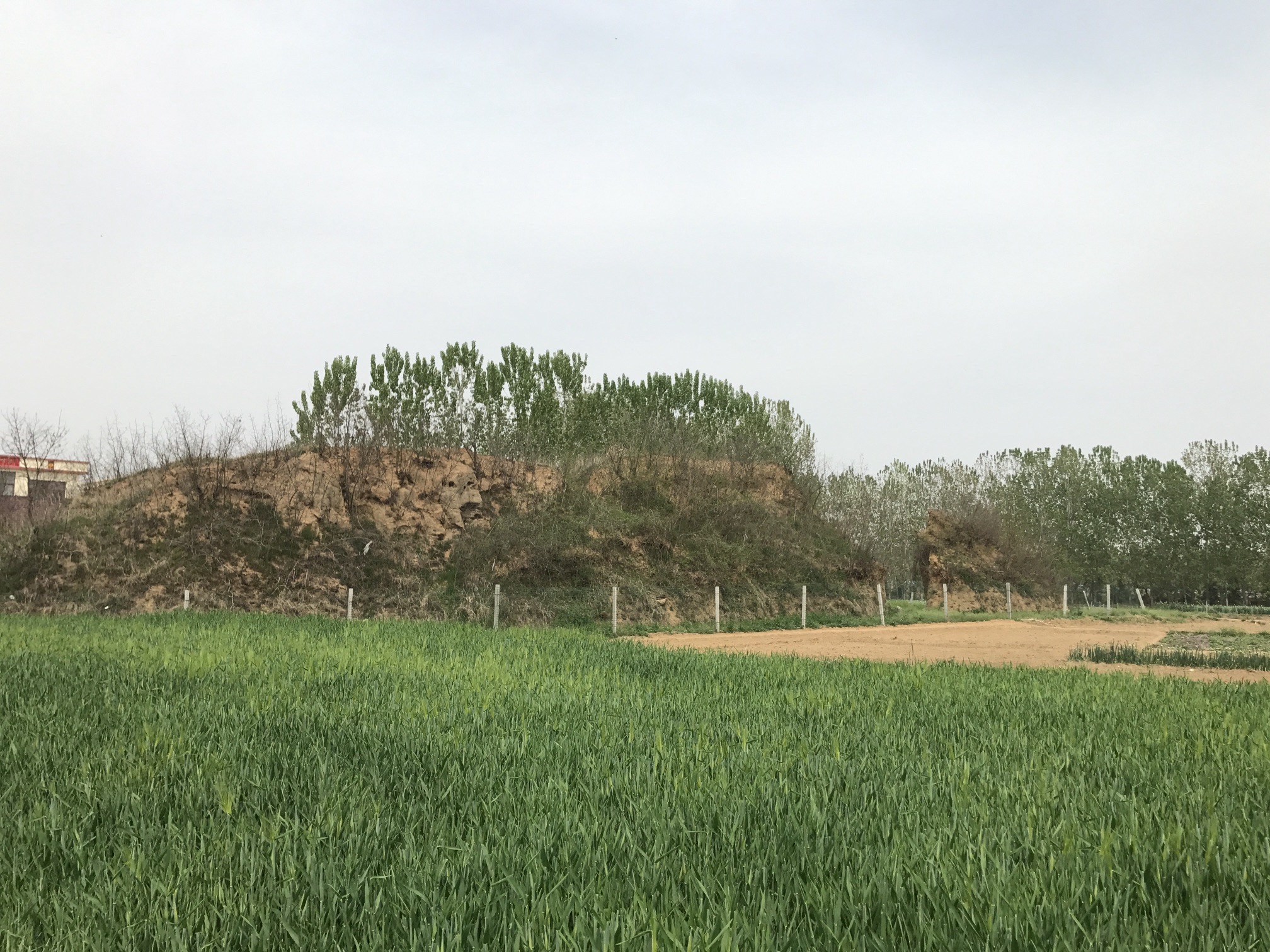 土城遗址旅行图片 2