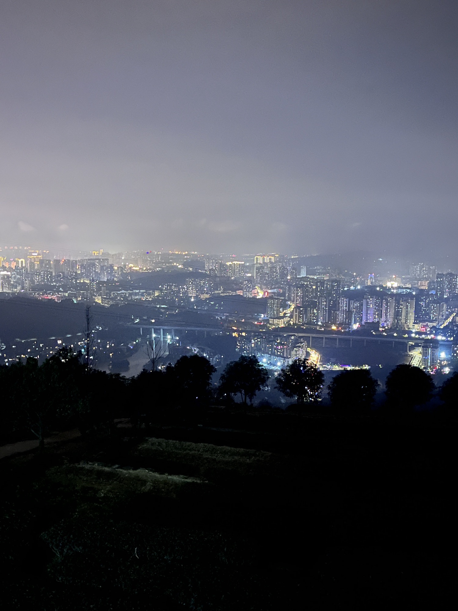 玫瑰园观景台旅行图片 1
